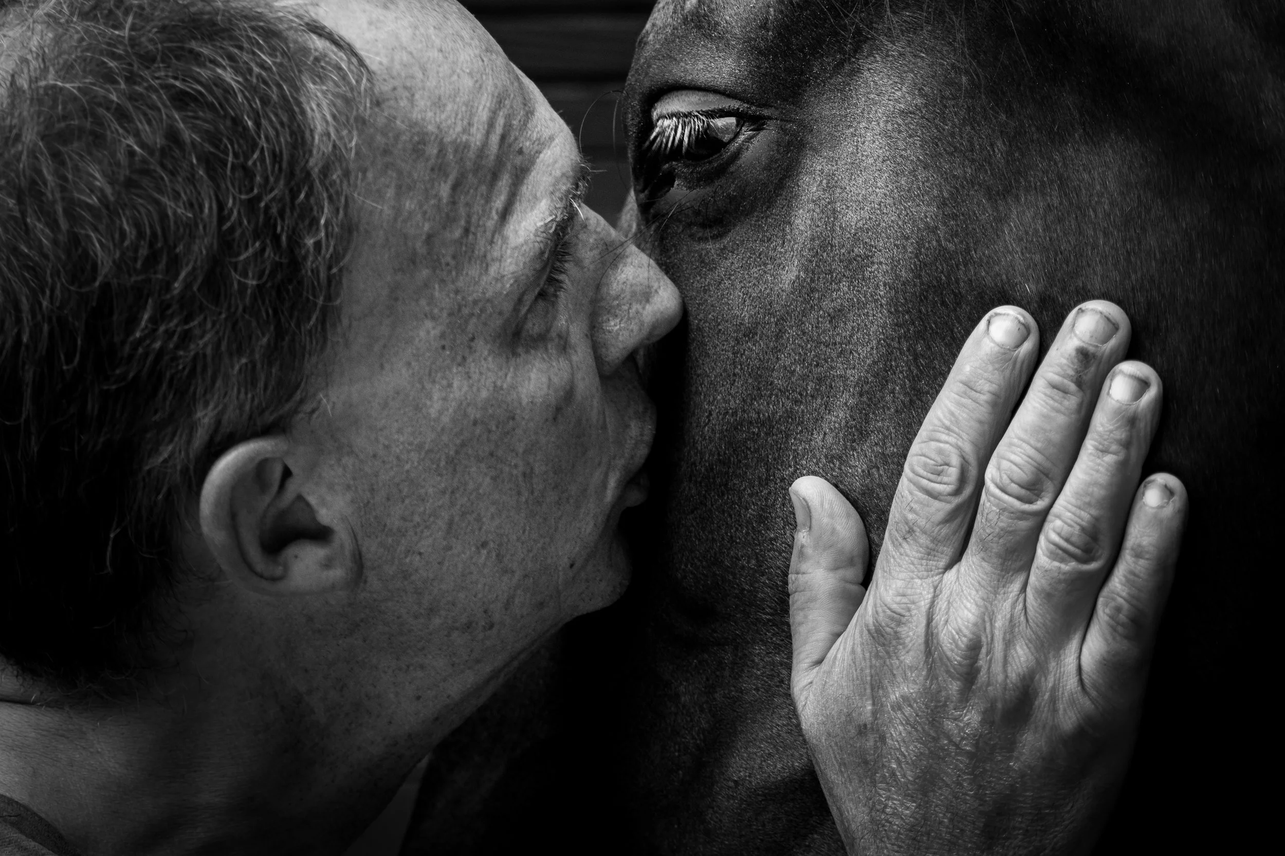 Un homme d'âge moyen embrasse un cheval de près, avec la main posée sur la joue du cheval. Photo noir et blanc.