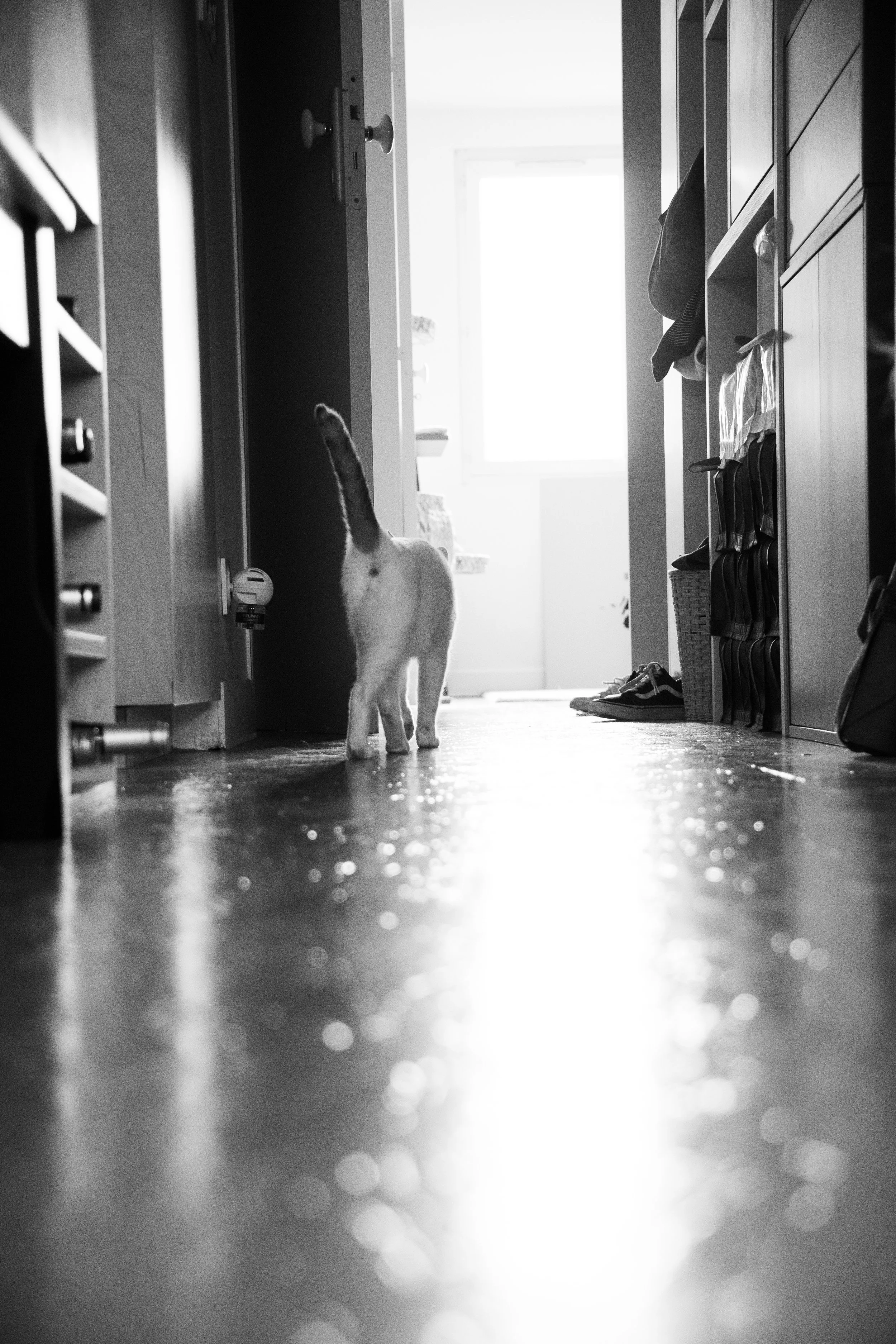 Gustave & Bianca retouchée-24.jpg