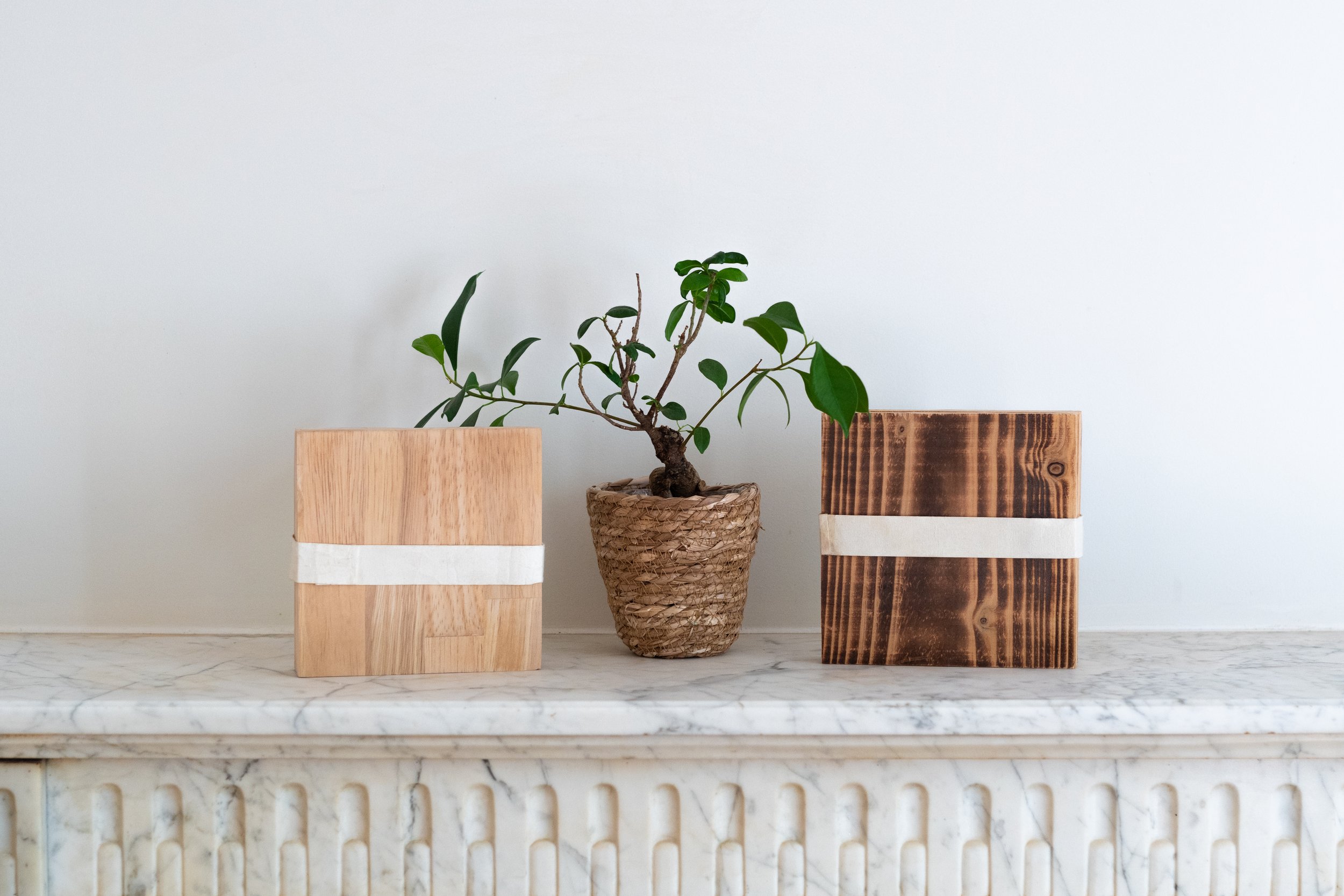 Deux livres photo leporello en bois posés fermés autour d'une plante en pot sur une cheminée en marbre.