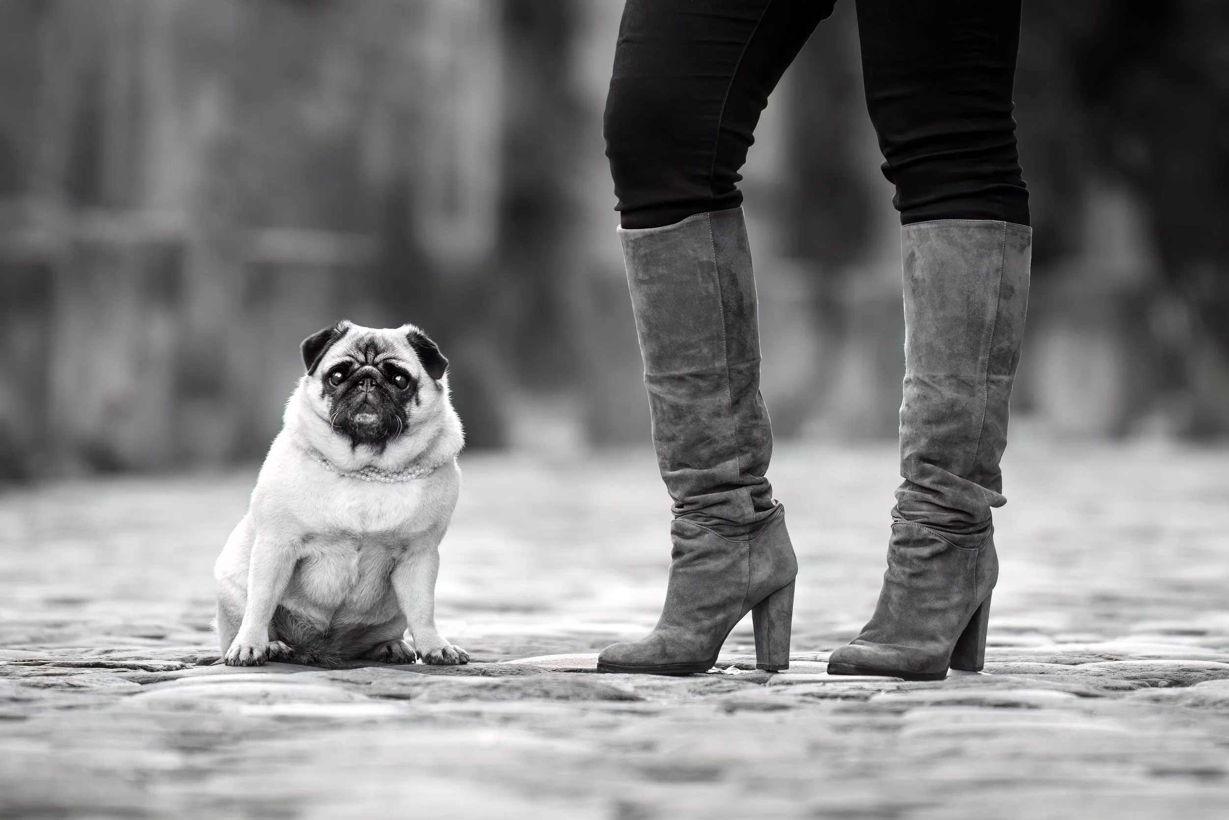 Freddie Fine Art-3.jpg