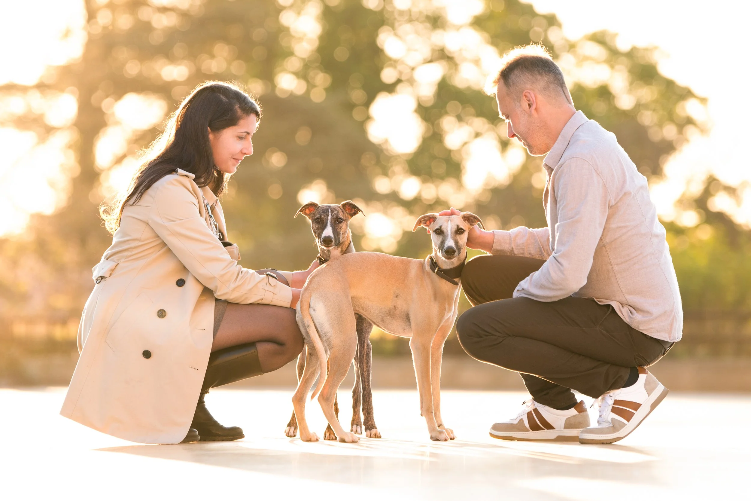Un homme et une femme jouent avec deux chiens whippets en plein air au lever du soleil, dans un environnement naturel avec des arbres en arrière-plan.