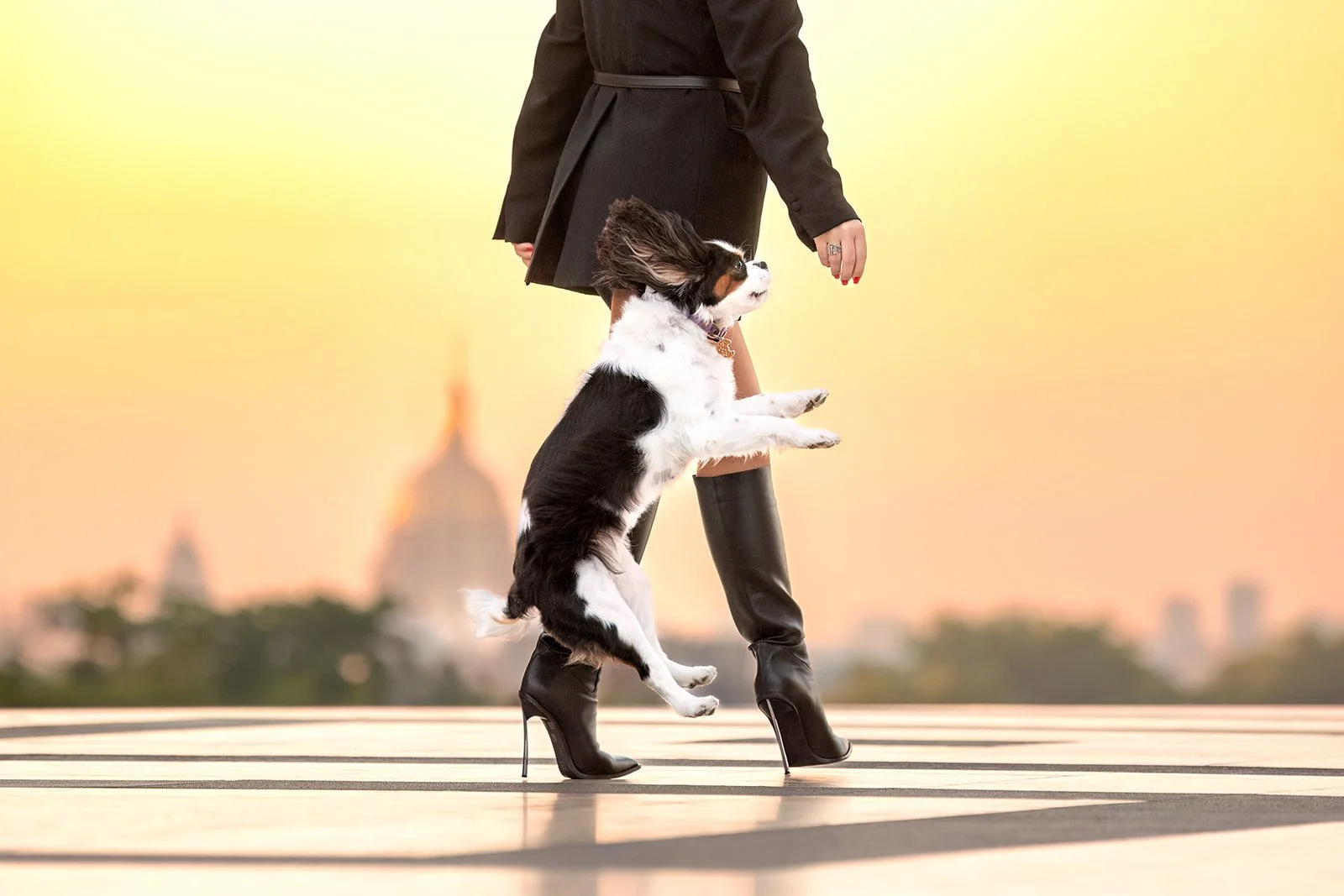 Une femme en bottes hautes à talon en train de marcher sur la place du Trocadéro à Paris lors du coucher de soleil, un chien cavalier king charles sautant et semblant flotter à côté d'elle.