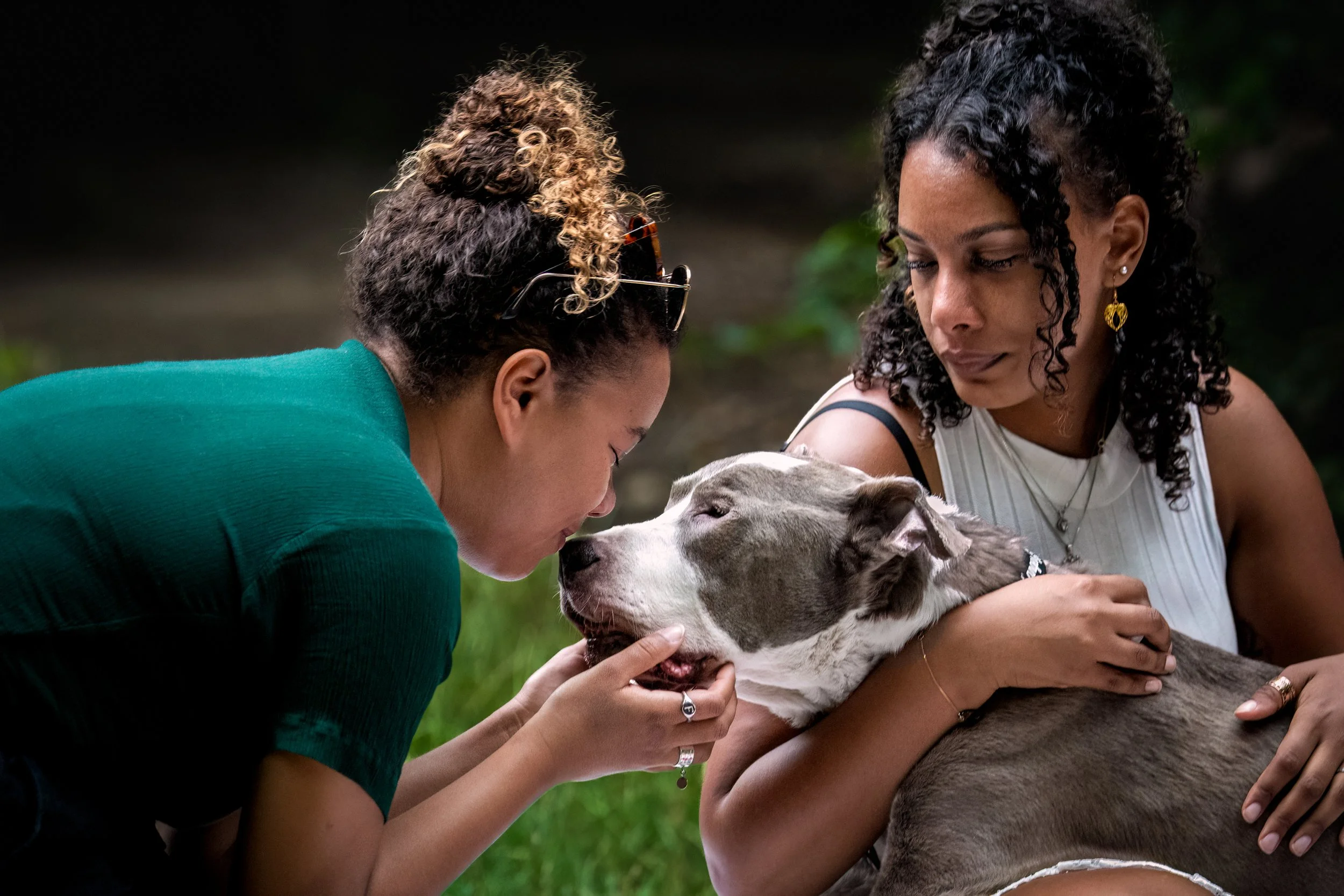 Deux femmes sont proches d'un chien gris et blanc, l'une caresse le chien, l'autre tient le chien dans ses bras, dans un environnement extérieur verdoyant.