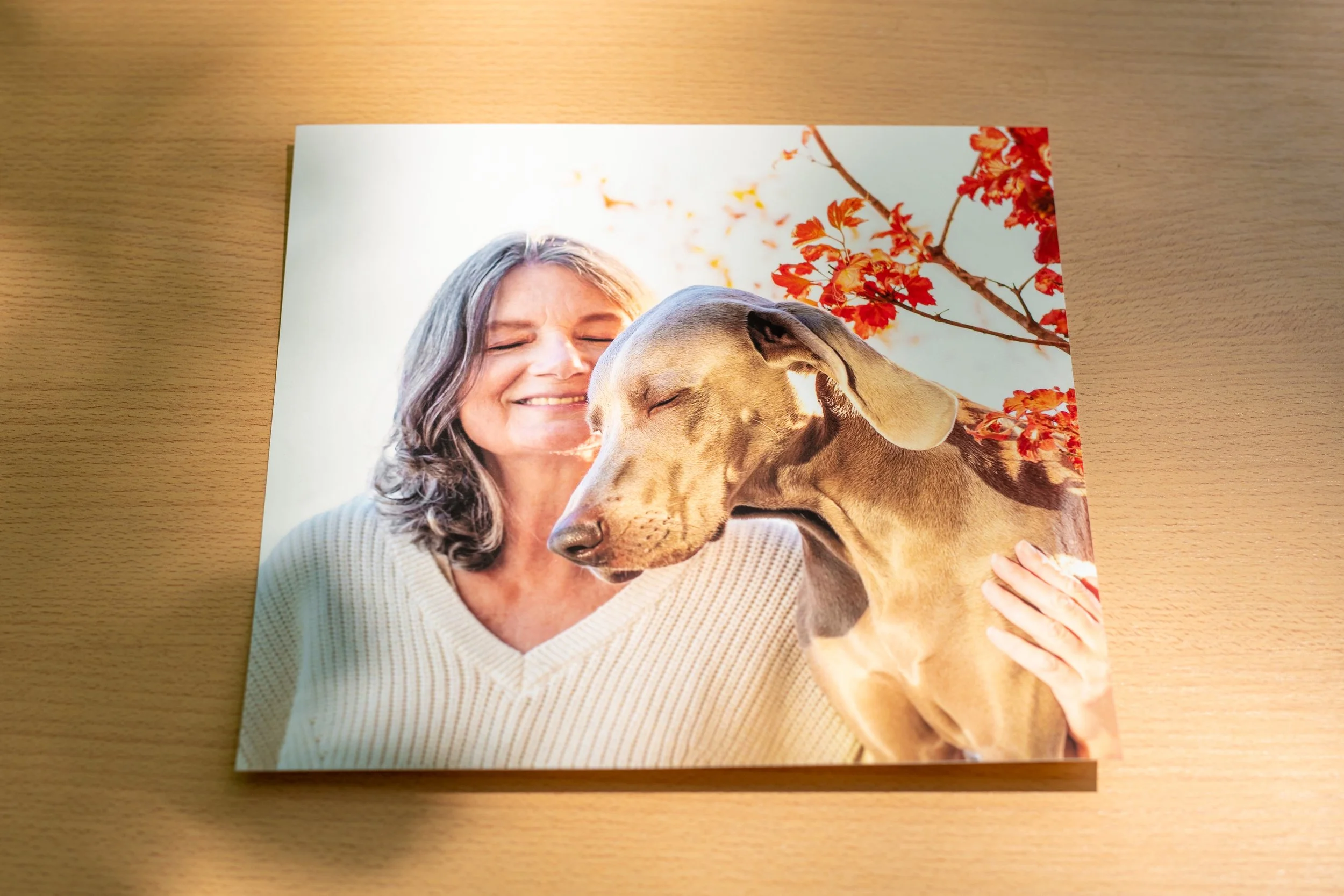 Une femme âgée avec des cheveux gris qui sourit en tenant un chien braque de Weimar à l'air heureux avec des feuilles d'arbre rouges en arrière-plan.