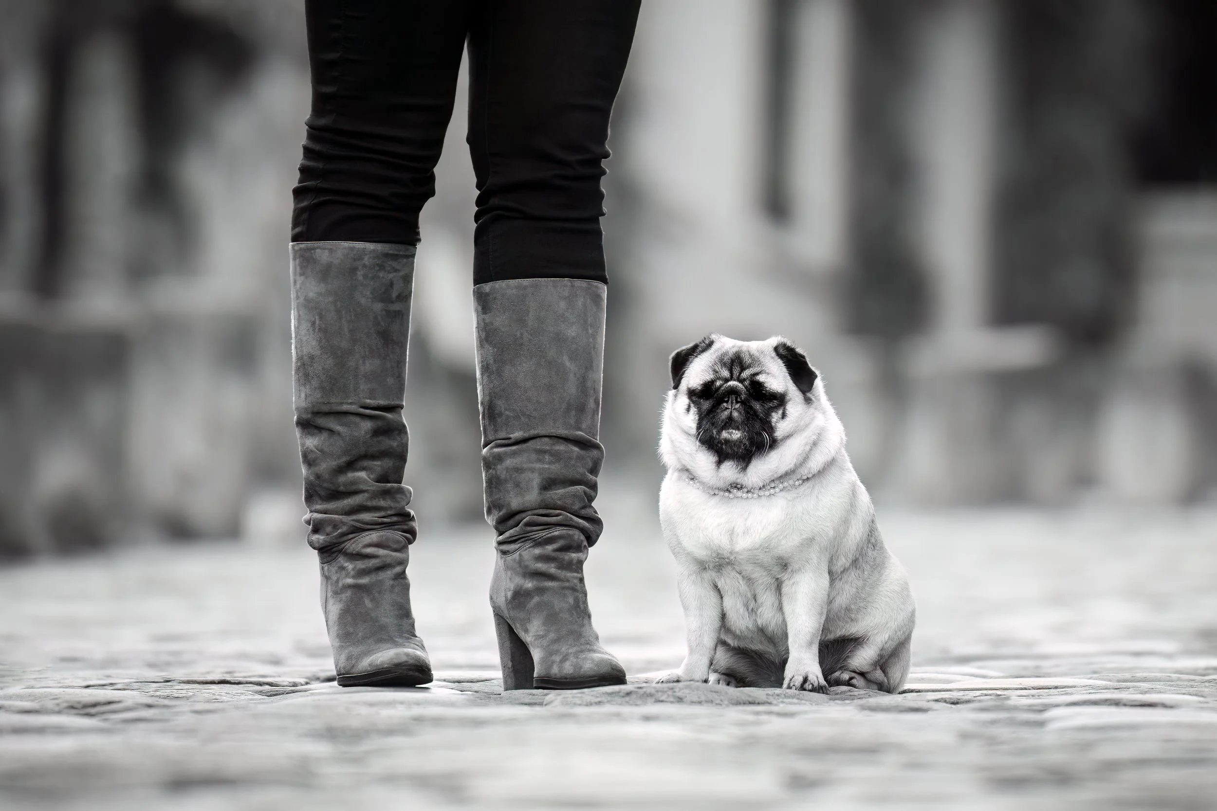 Freddie Fine Art-4.jpg