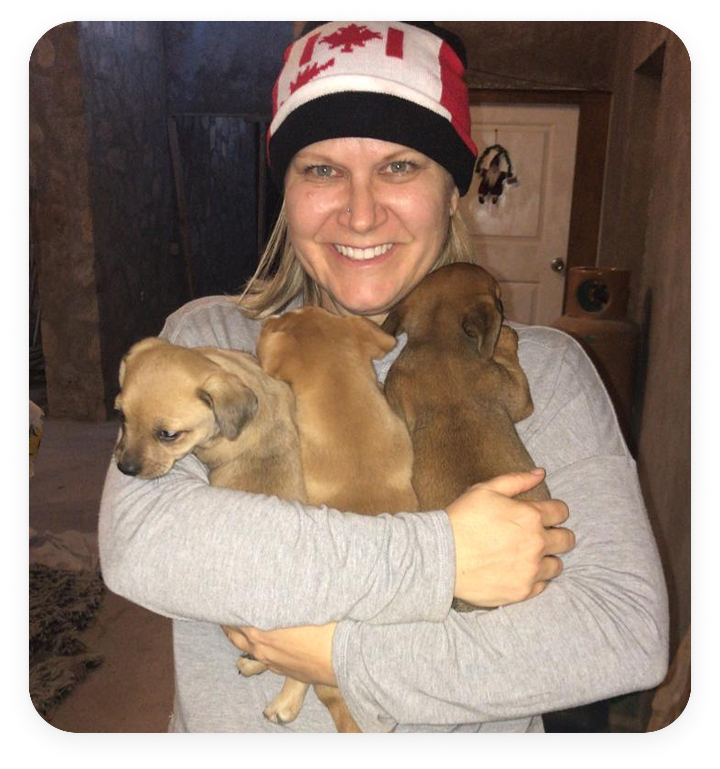 claudineholidng3puppies