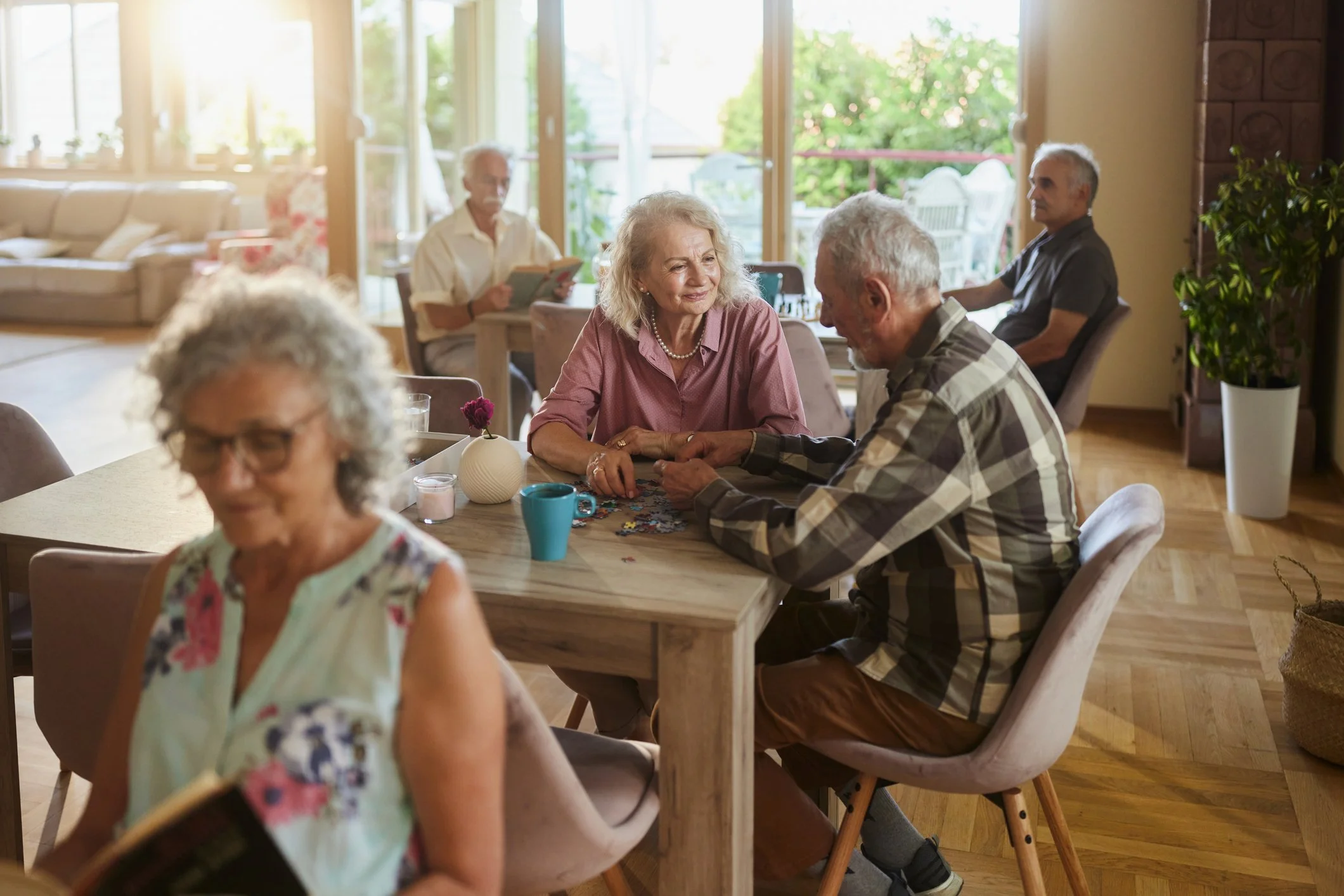 A group of elderly people sitting and socializing in a bright living room with large windows, some reading and some talking.
