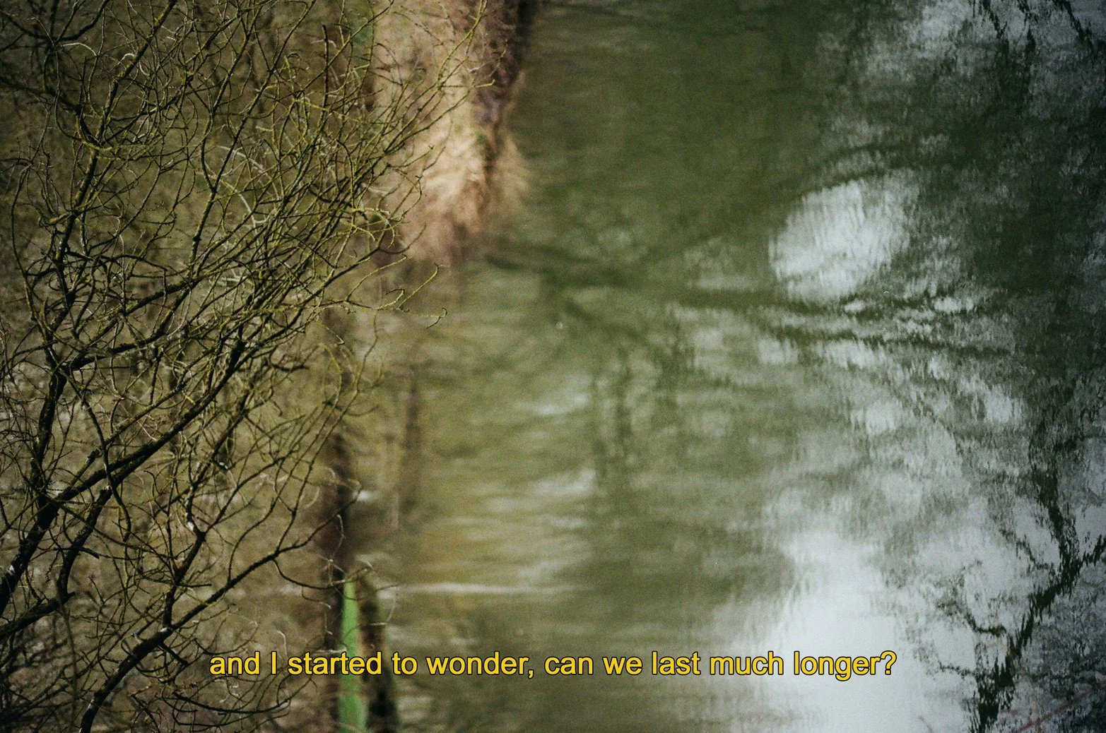 Analog_subtitles-12.jpg