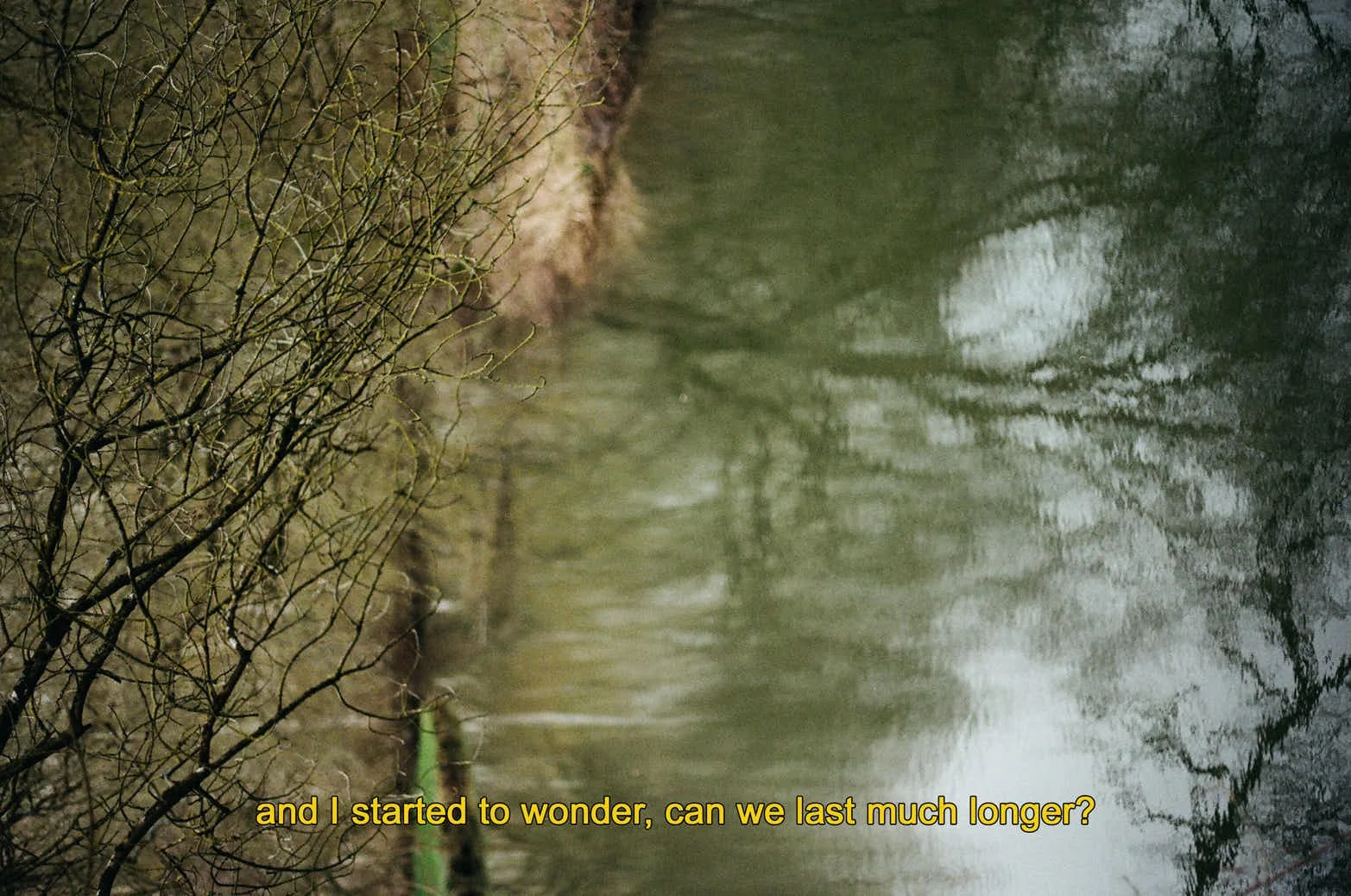 Analog_subtitles-12_SD.jpg