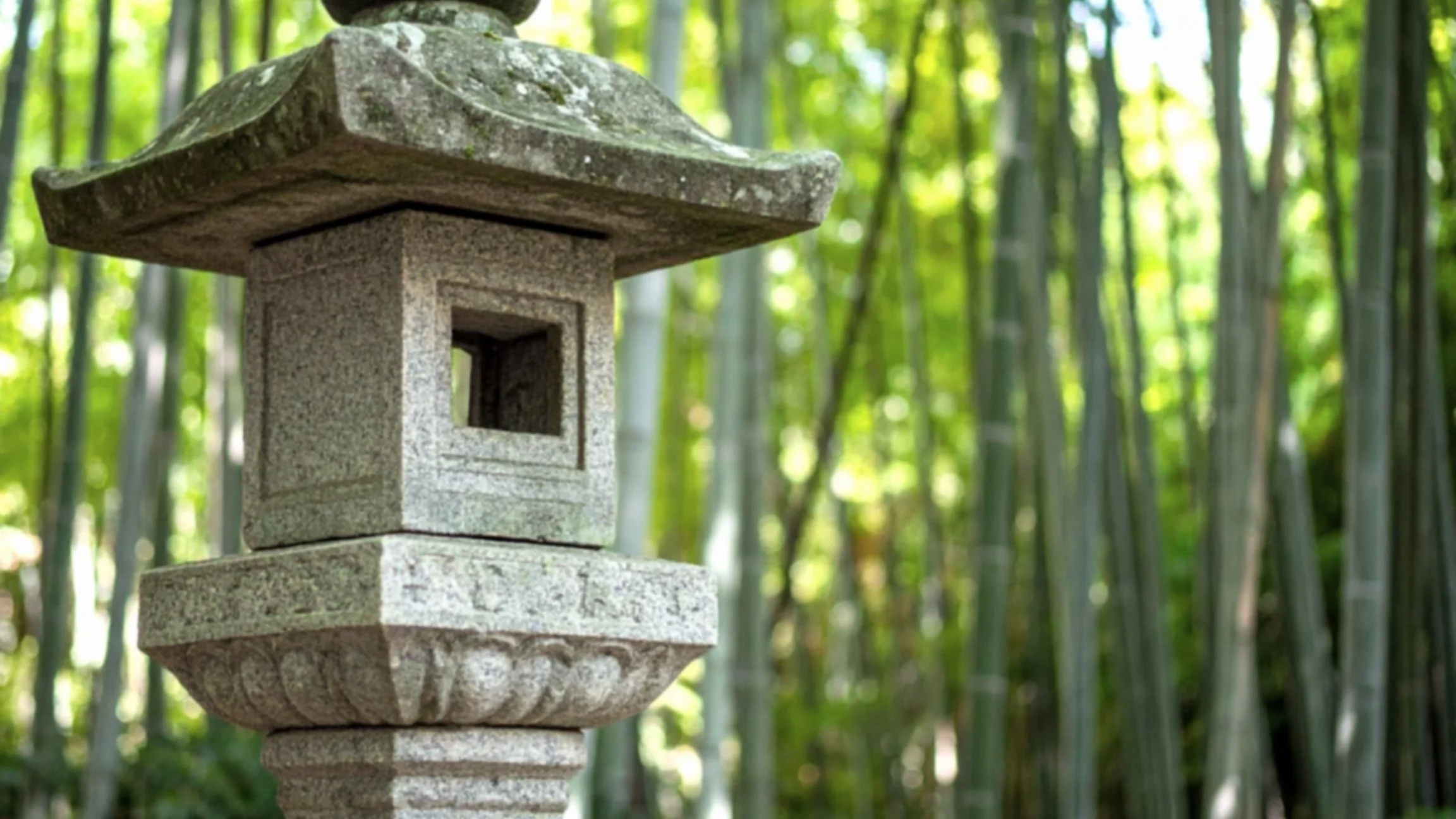 raleigh-outdoors-jc-raulston-arboretum-01.jpg
