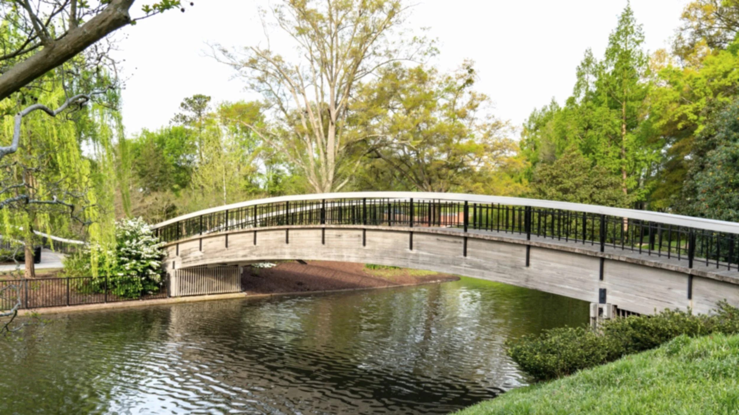 raleigh-outdoors-pullen-park-01.jpg