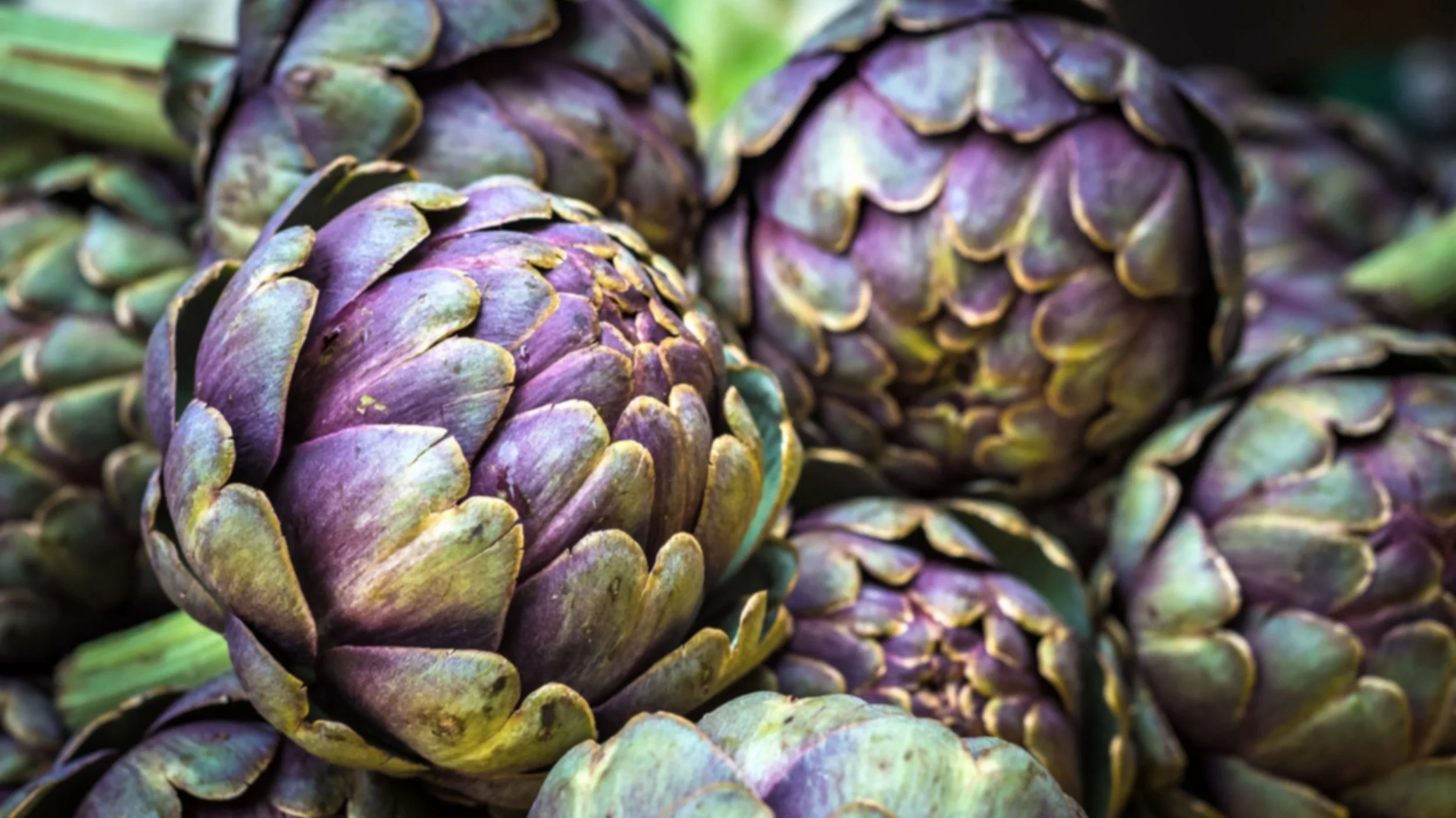 durham-events-farmers-market-01.jpg