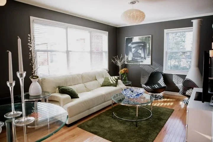 Modern Apartment - Cameron Village Living Room Windows.jpg