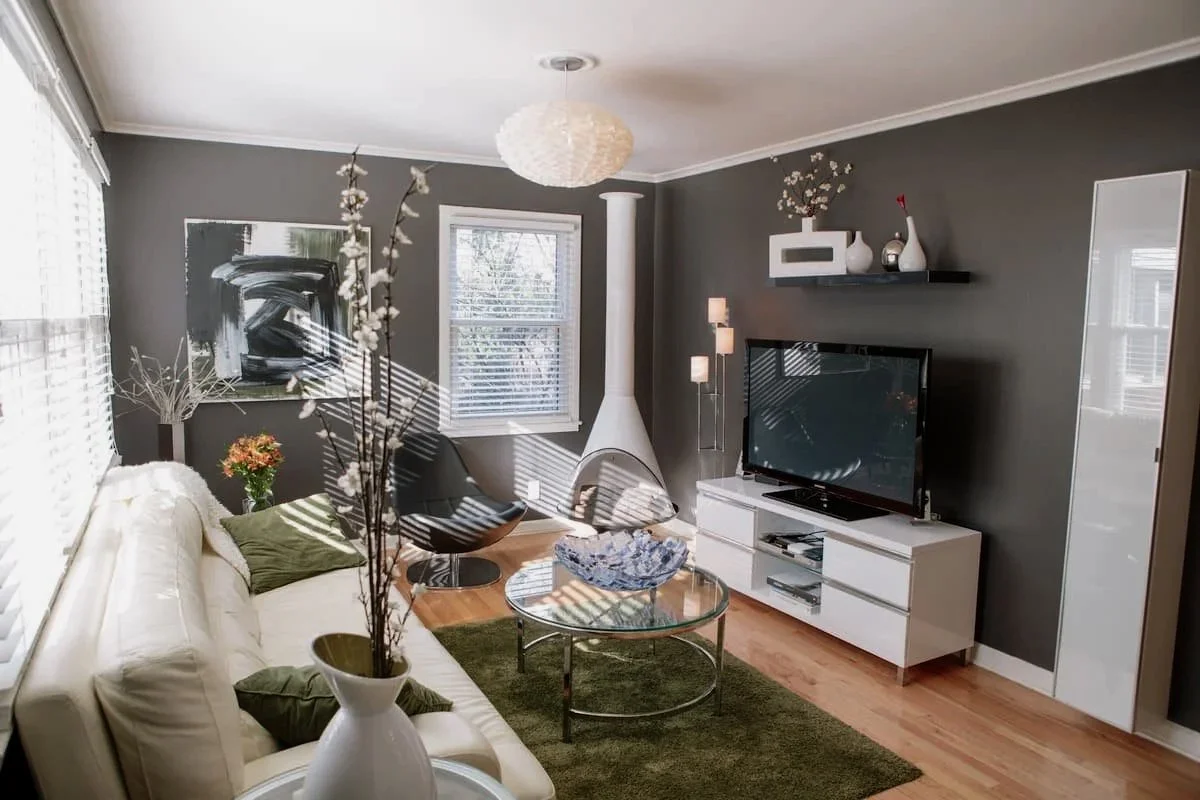 Modern Apartment - Cameron Village Living Room5.jpg
