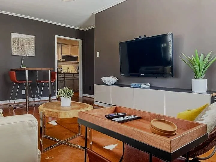 Cameron Village Modern Stylish Condo Living Room Bar.jpg
