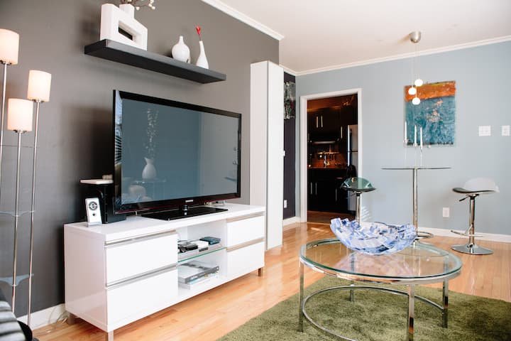 Modern Apartment - Cameron Village Living Room2.jpg