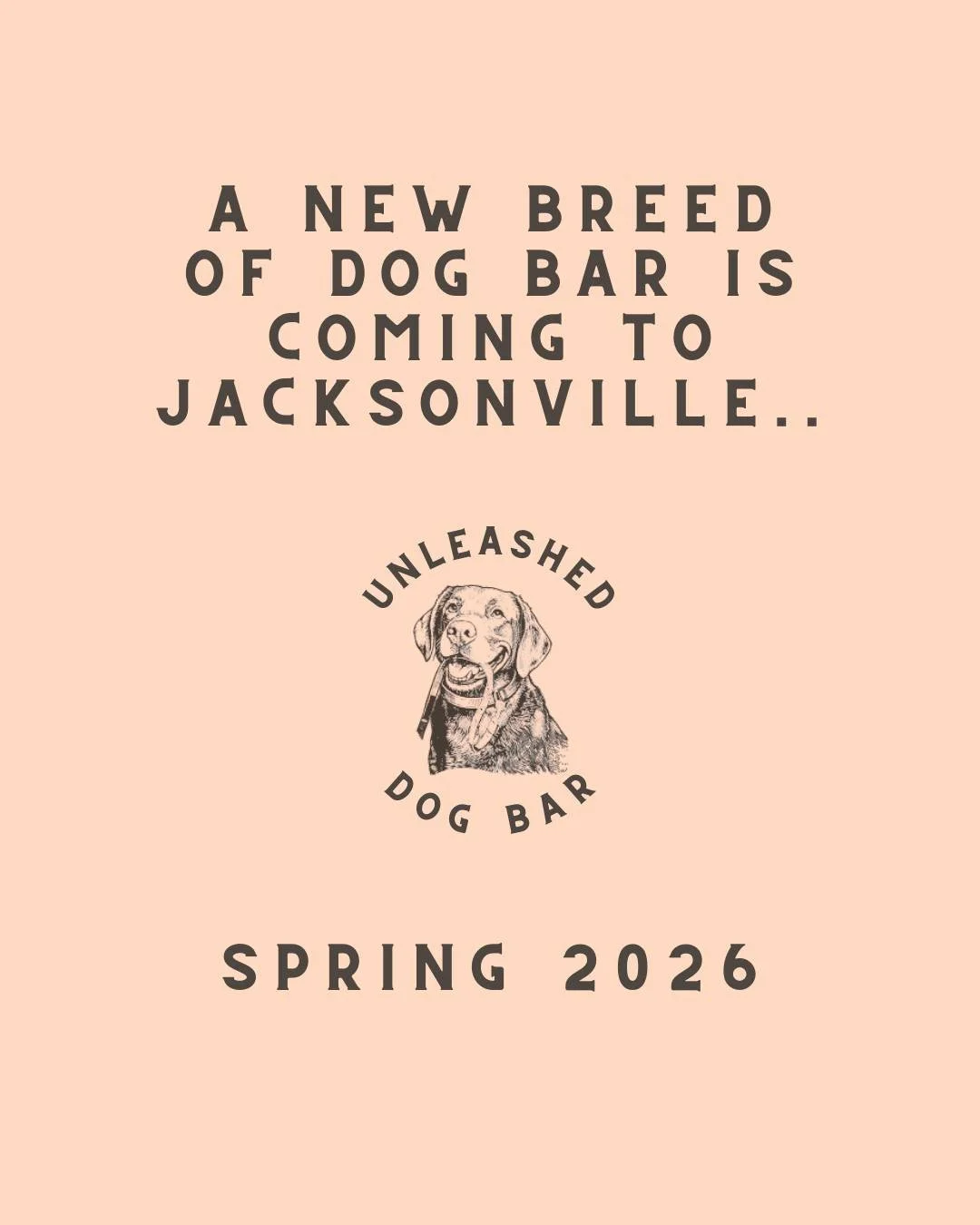Jacksonville, it&rsquo;s almost time. 🐶🍻

We&rsquo;re bringing a whole new breed of dog bar to the historic Springfield neighborhood.

Follow along for updates on how to get in on the fun.