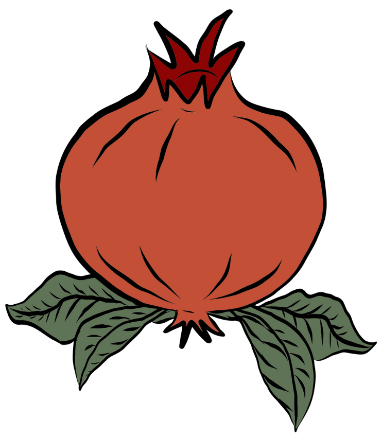 Illustration of a pomegranate with green leaves at the bottom. The pomegranate is a symbol of the goddess Fides, the Roman Goddess of trust and good faith. She is the firm's namesake.