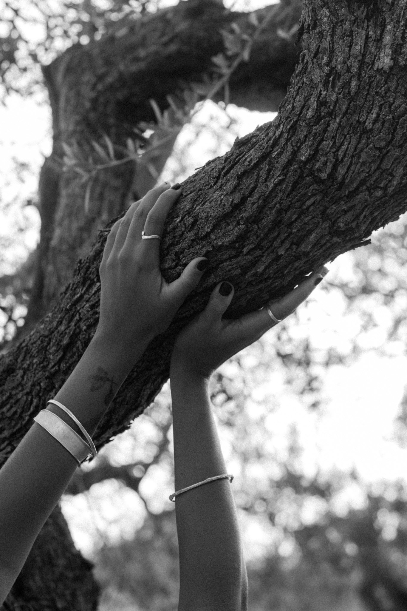 Acompañamiento Matriz ~ 90 minutos