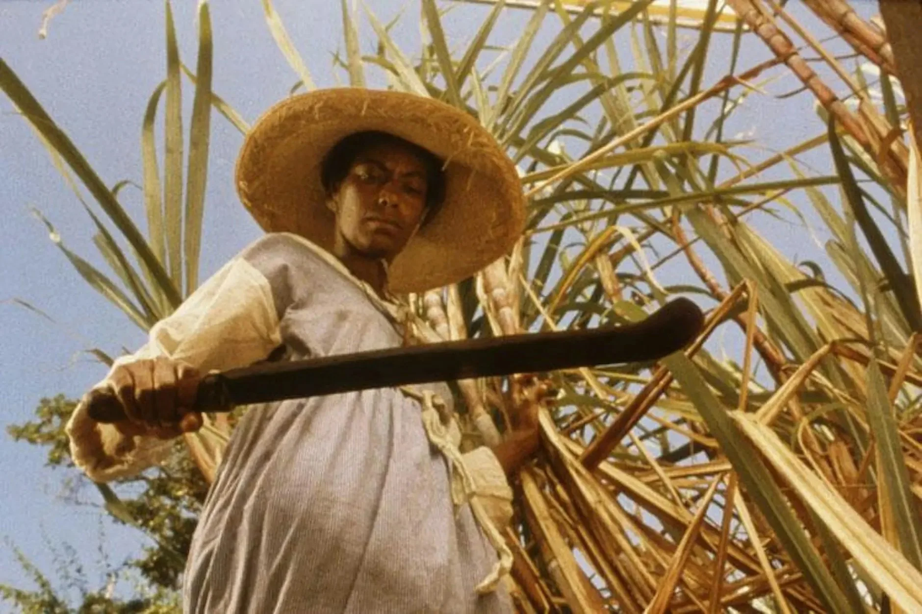 People’s Cinema Club: Sankofa