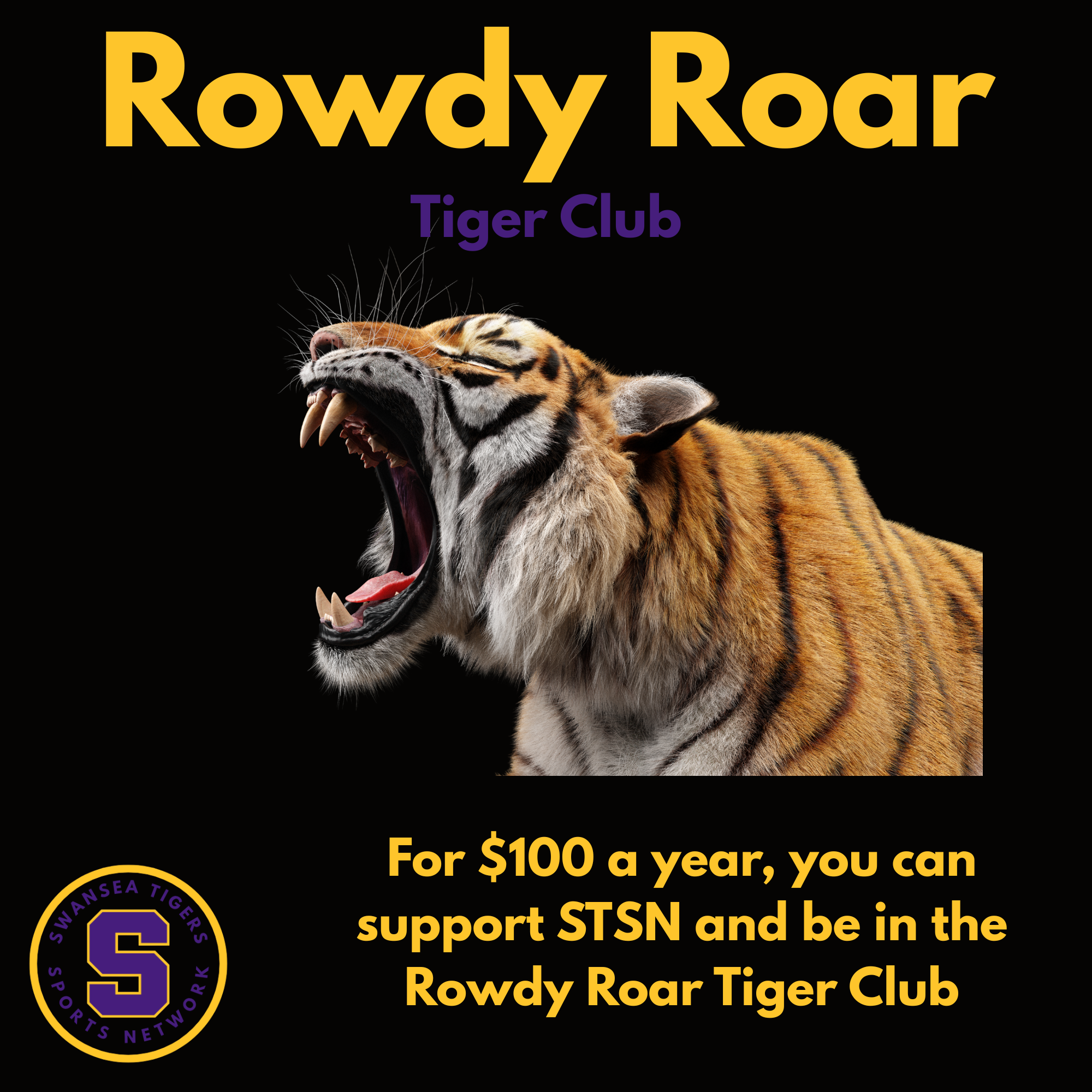 Roar Network Swansea Tiger Sports Network