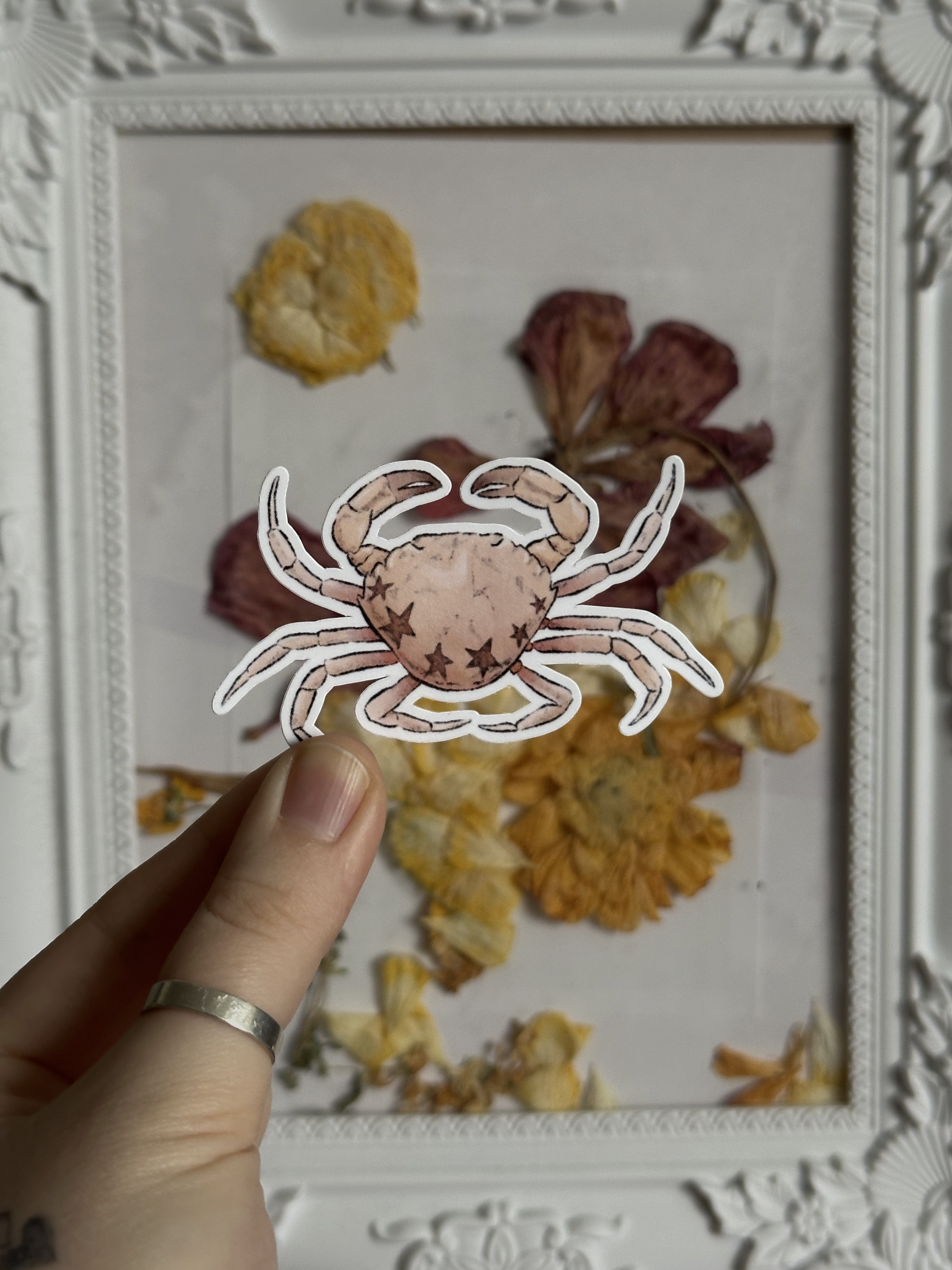 Starry Crab sticker