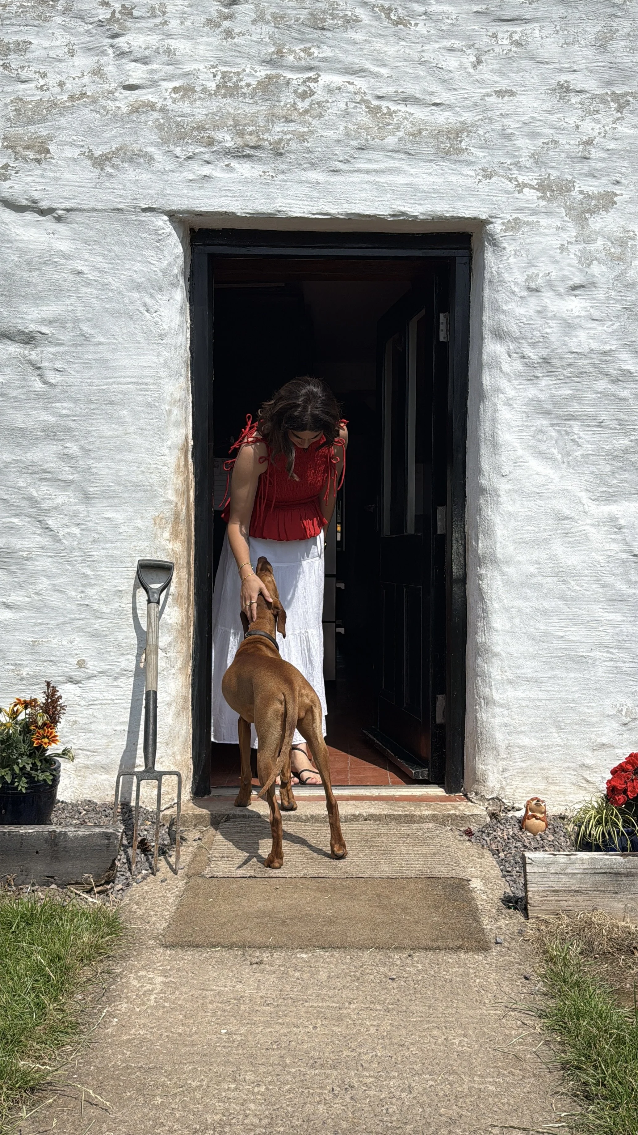 A woman in a red top and white skirt stands at the front door of a white house, petting a brown dog. There is a gardening shovel leaning against the wall to her left and potted plants with flowers on either side of the walkway.