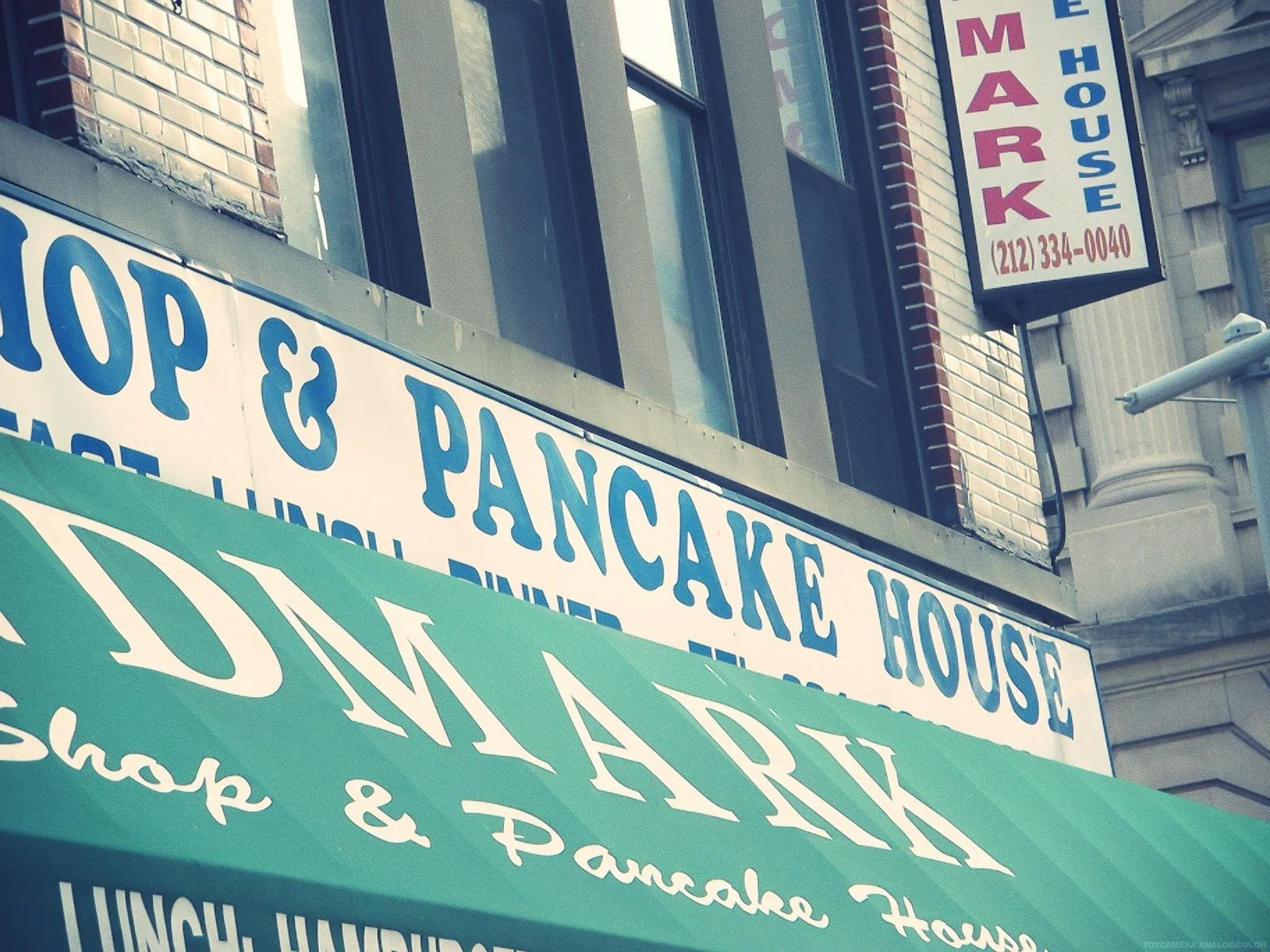 Day 12: Final day in New York