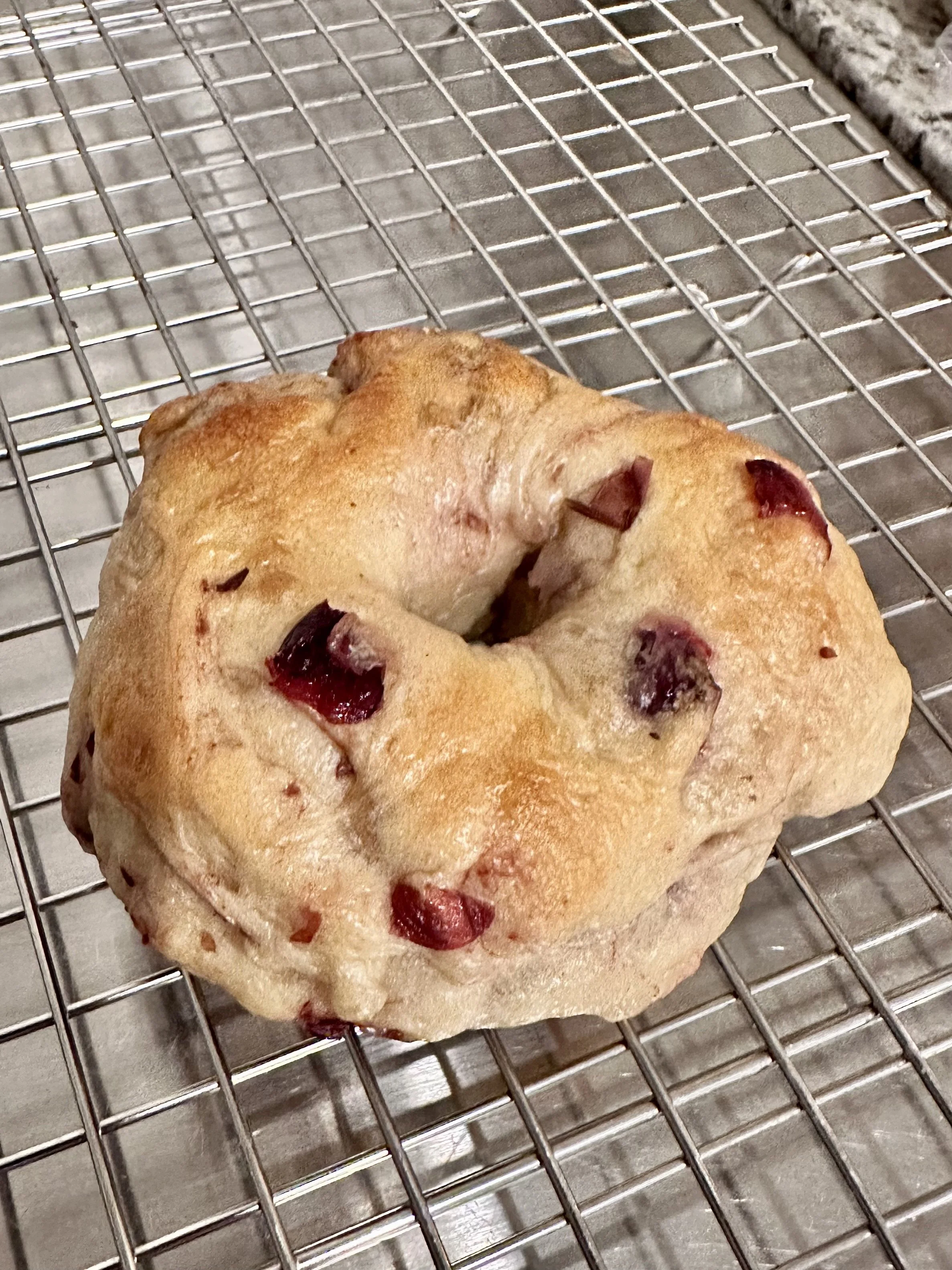 Cranberry Sourdough Bagels