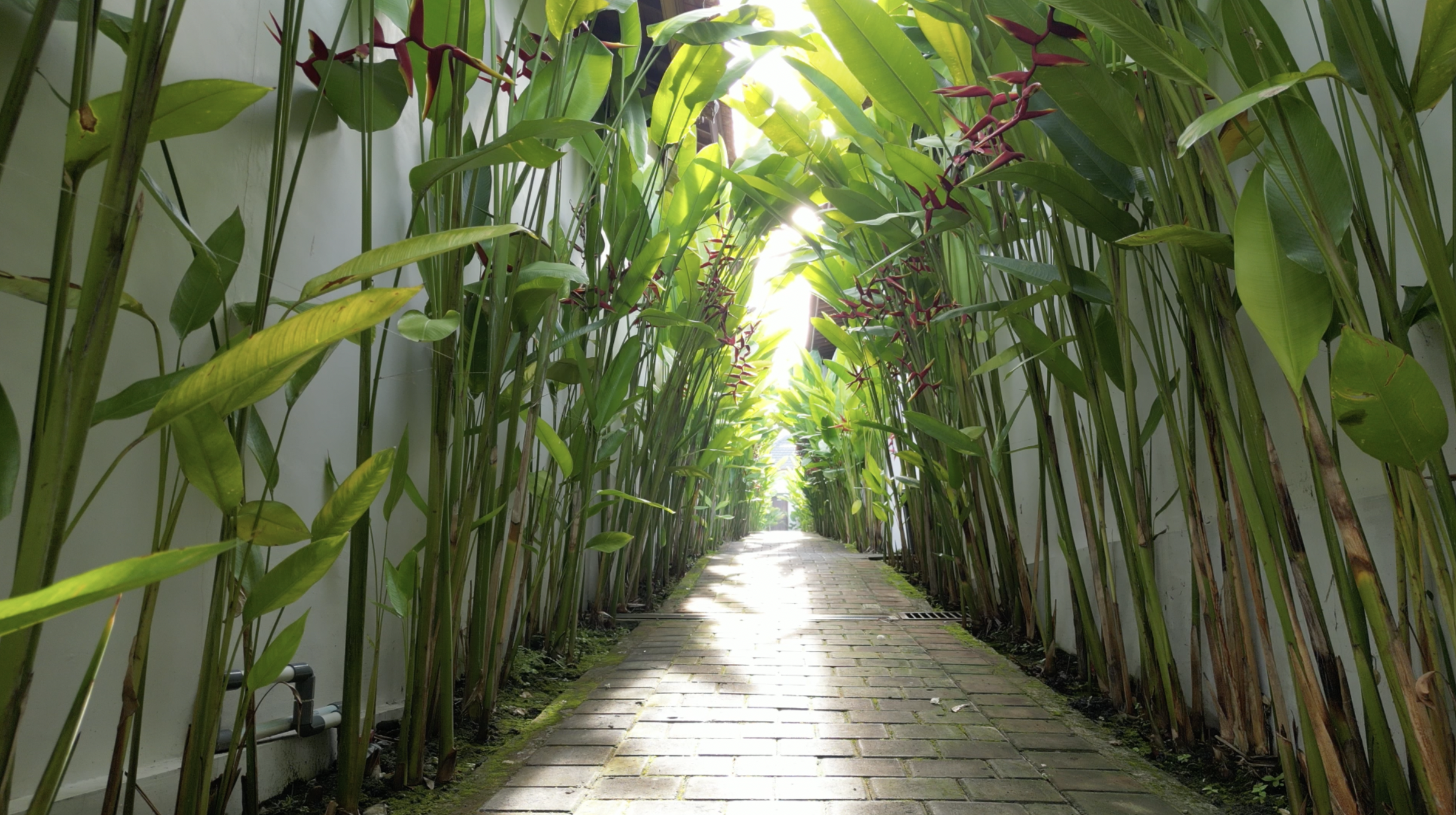 Screenshot 2026-02-04 at 1.27.08 PM.png