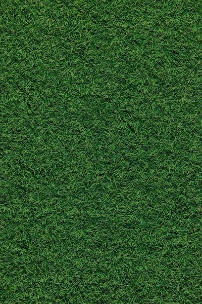 financial planning for families investment management