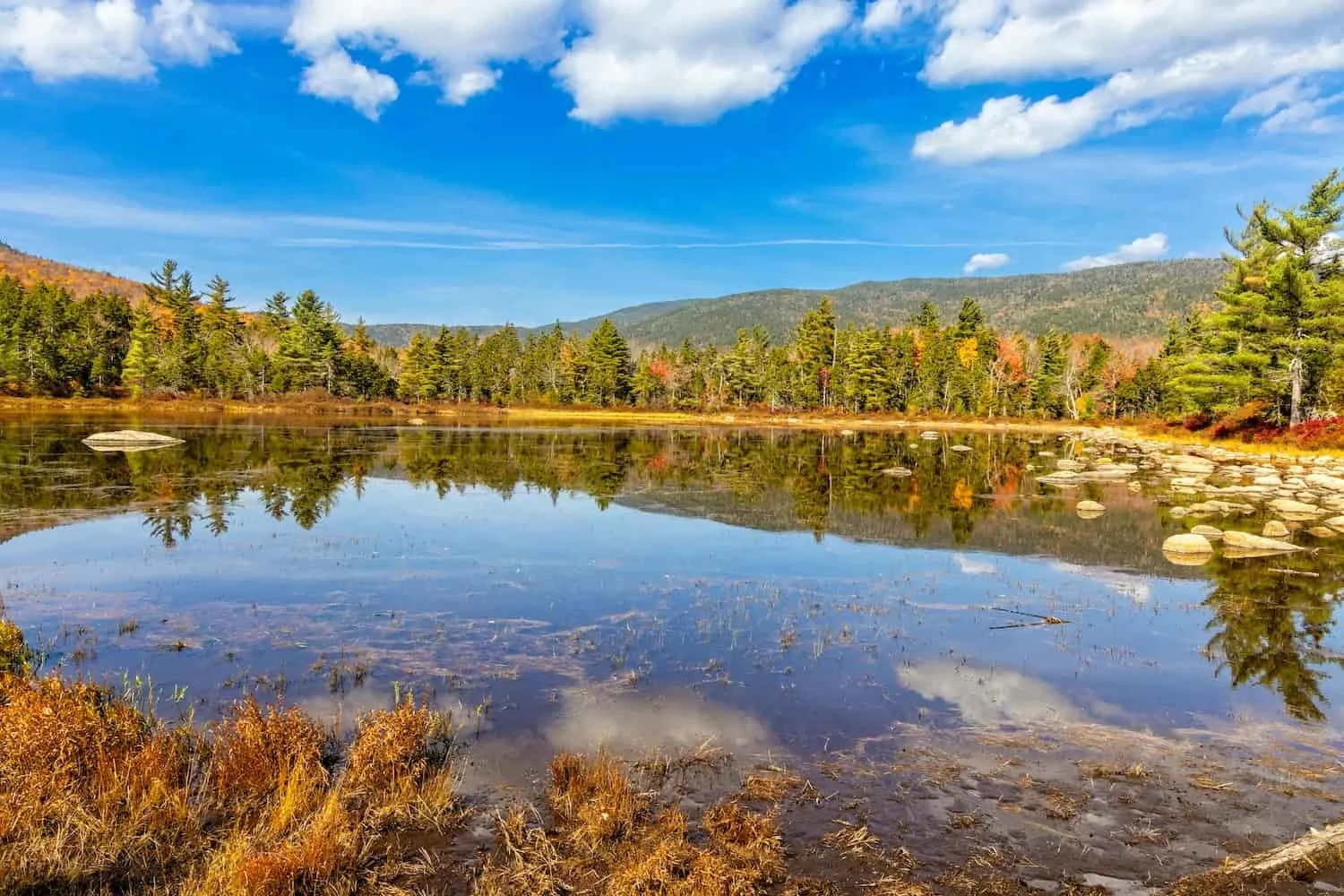 Most People Approach Financial Planning in NH Backwards. Here’s a Better Way