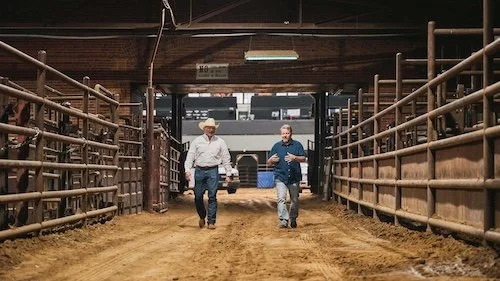 Real Cryptocurrency Stories (Videos)