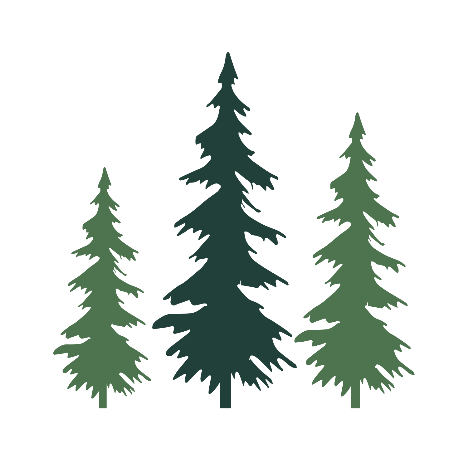 tall trees wealth logo