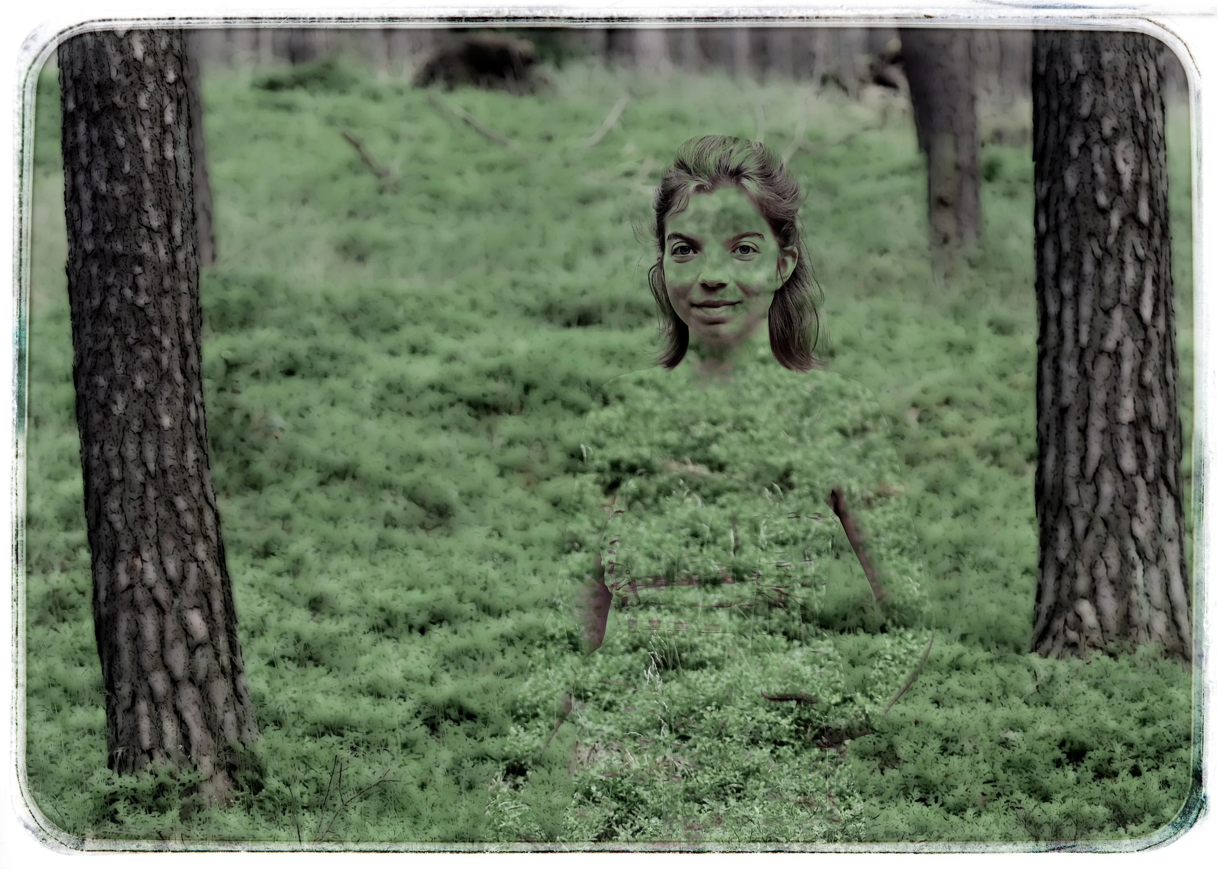 Ein Wald mit hohen Bäumen und grünem Boden, im Zentrum eine große, transparent wirkende Frau mit einem freundlichen Gesicht, die teilweise in den Wald integriert ist.