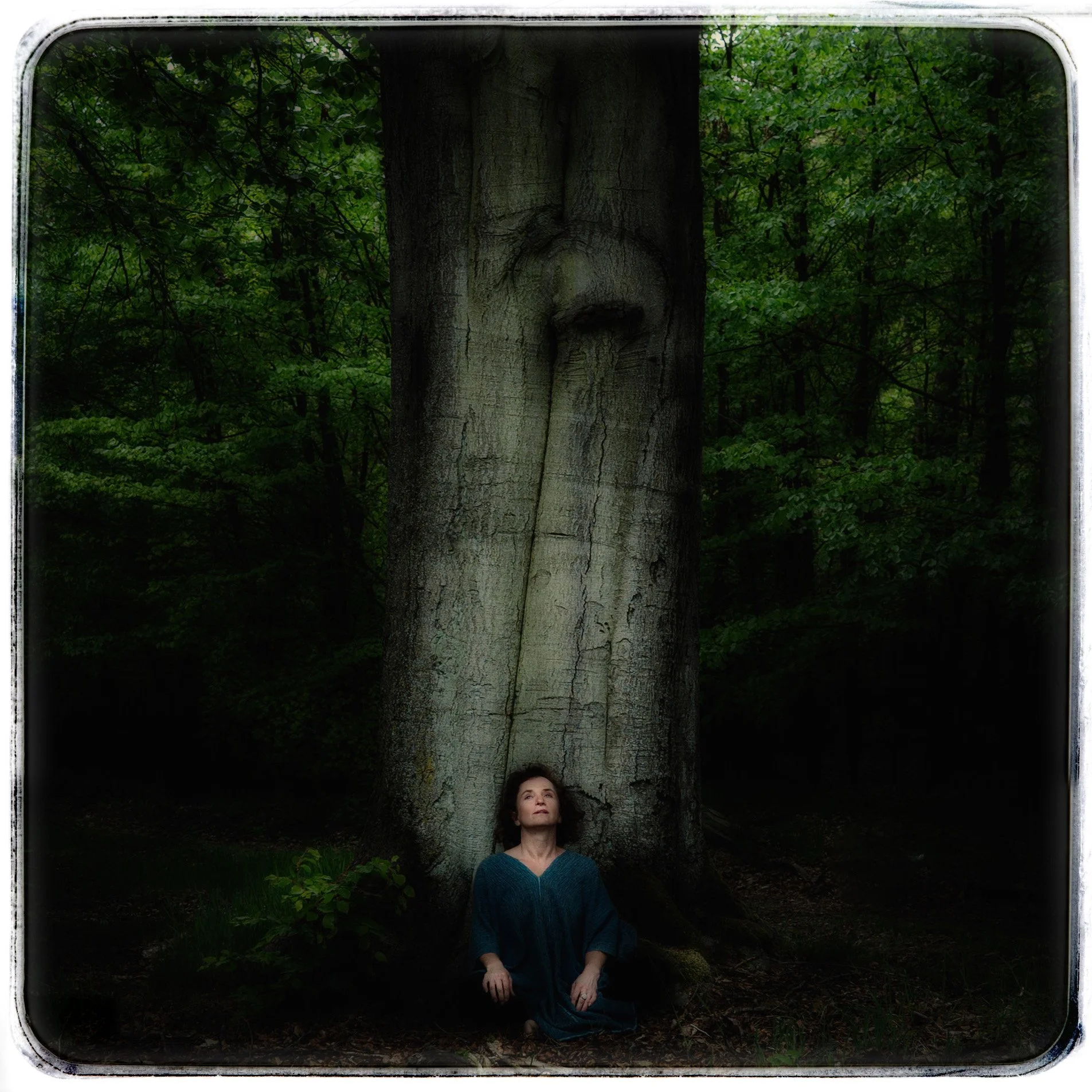 Eine Frau sitzt entspannt am Boden eines Waldes vor einem großen Baum, dessen Rinde eine Gesichtsähnliche Vertiefung aufweist.