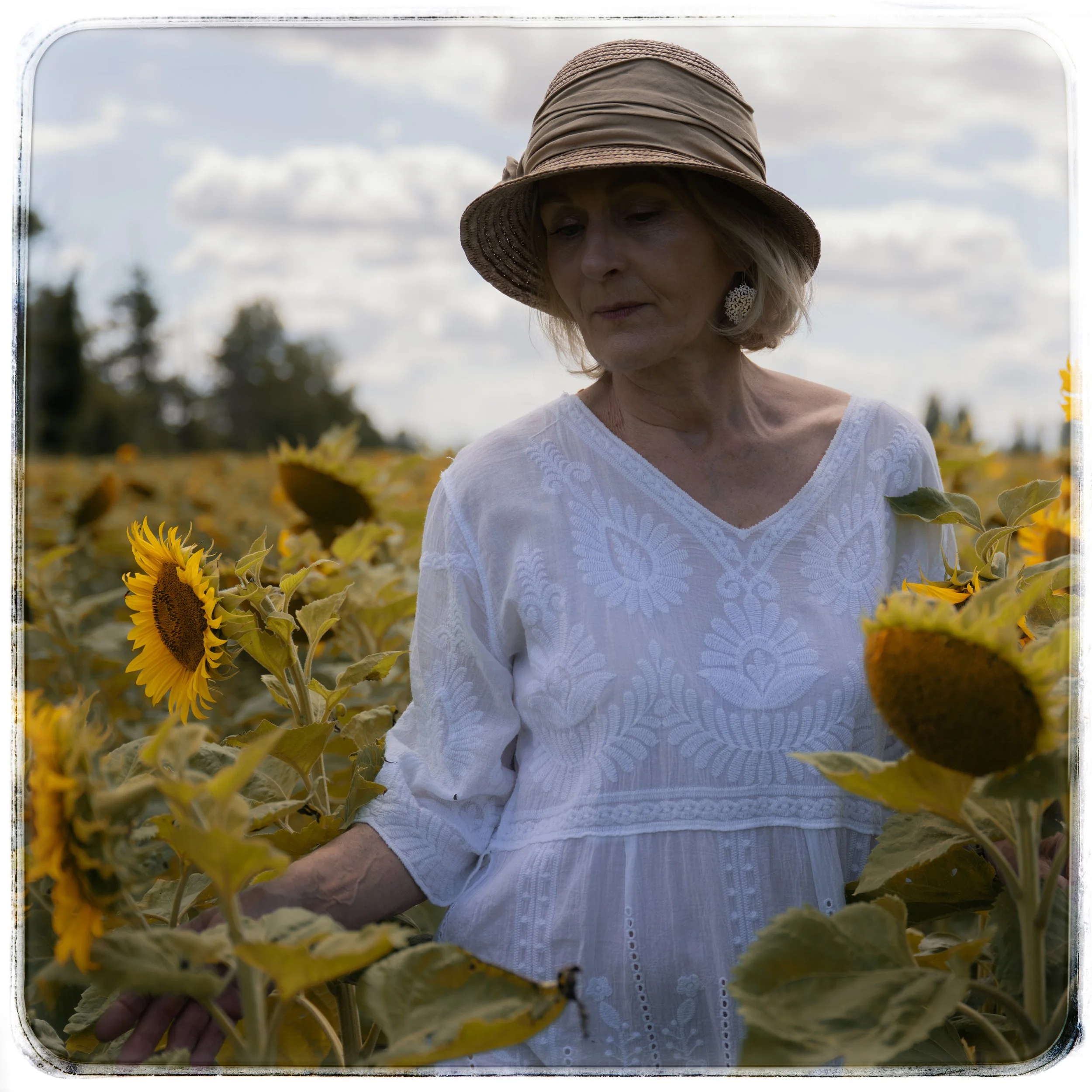 Frau mit Hut im Sonnenblumenfeld