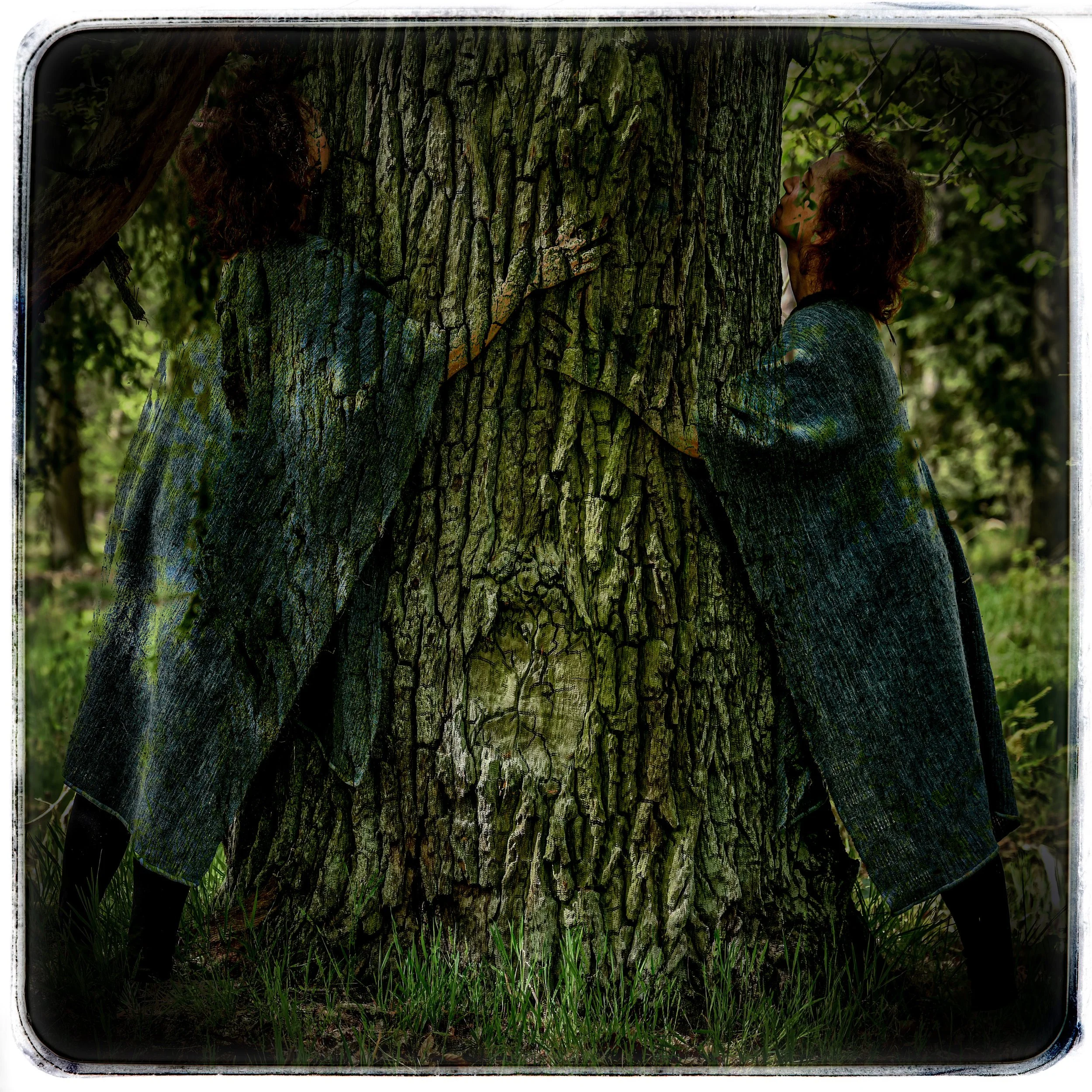 Zwei Frauen umarmen einen großen Baumstamm im Wald.