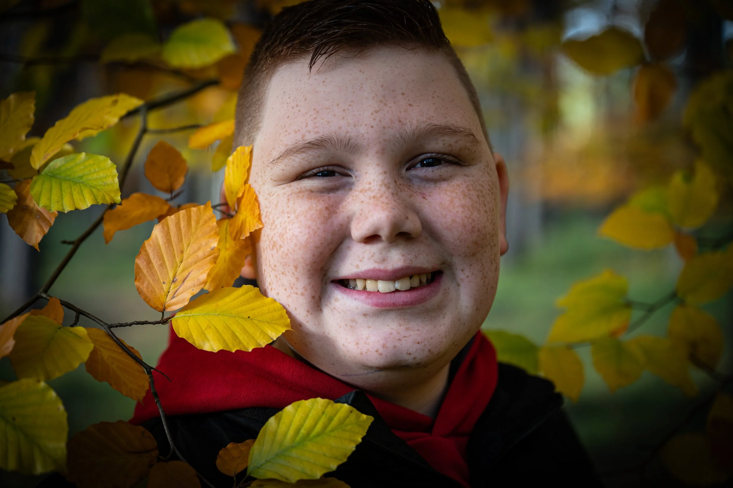Ein lachender Junge mit Sommersprossen vor herbstlichen gelben Blättern.
