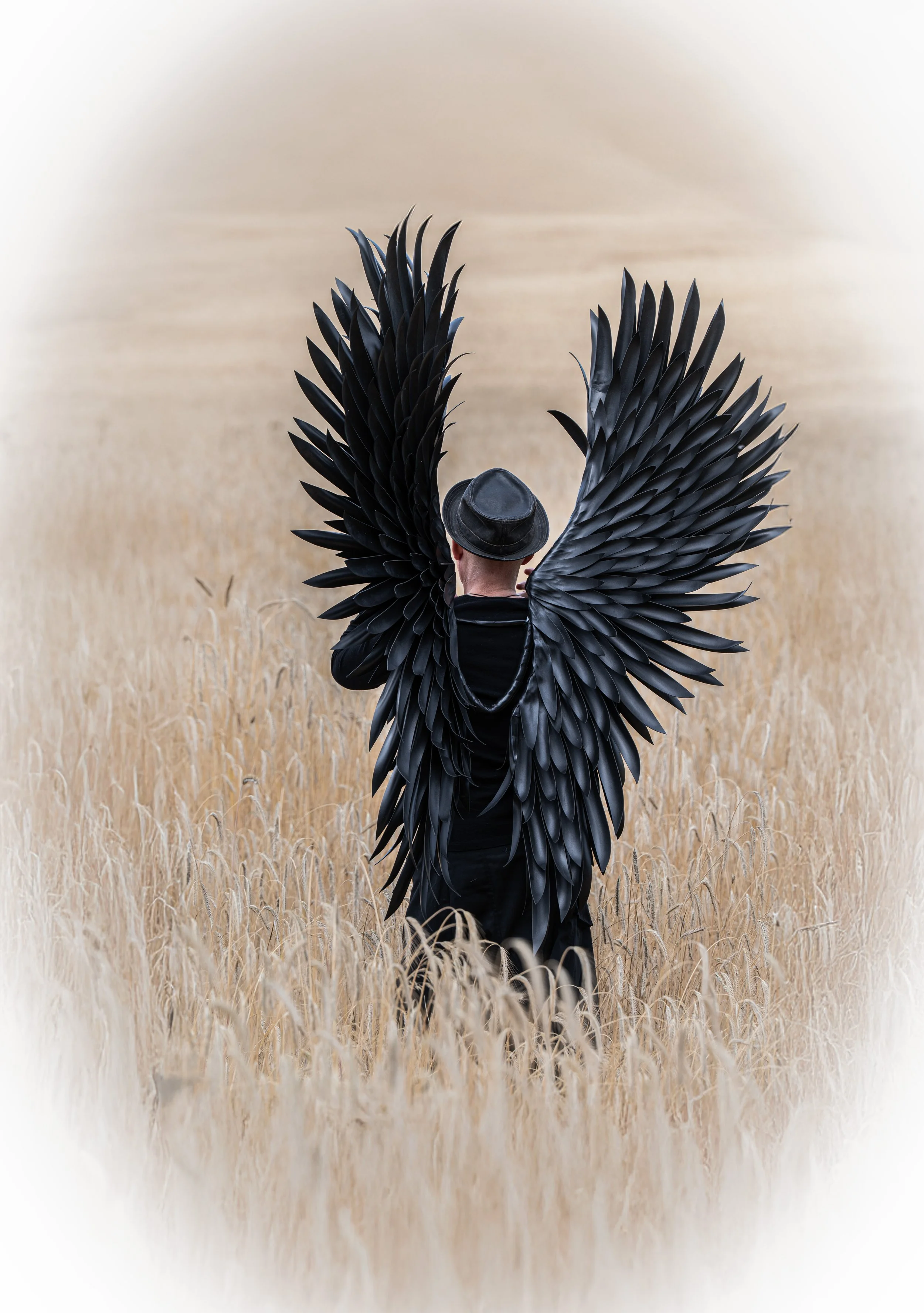 Person mit schwarzen Flügeln aus schwarzen Flügeln, trägt einen schwarzen Hut, steht in einem Weizenfeld.
