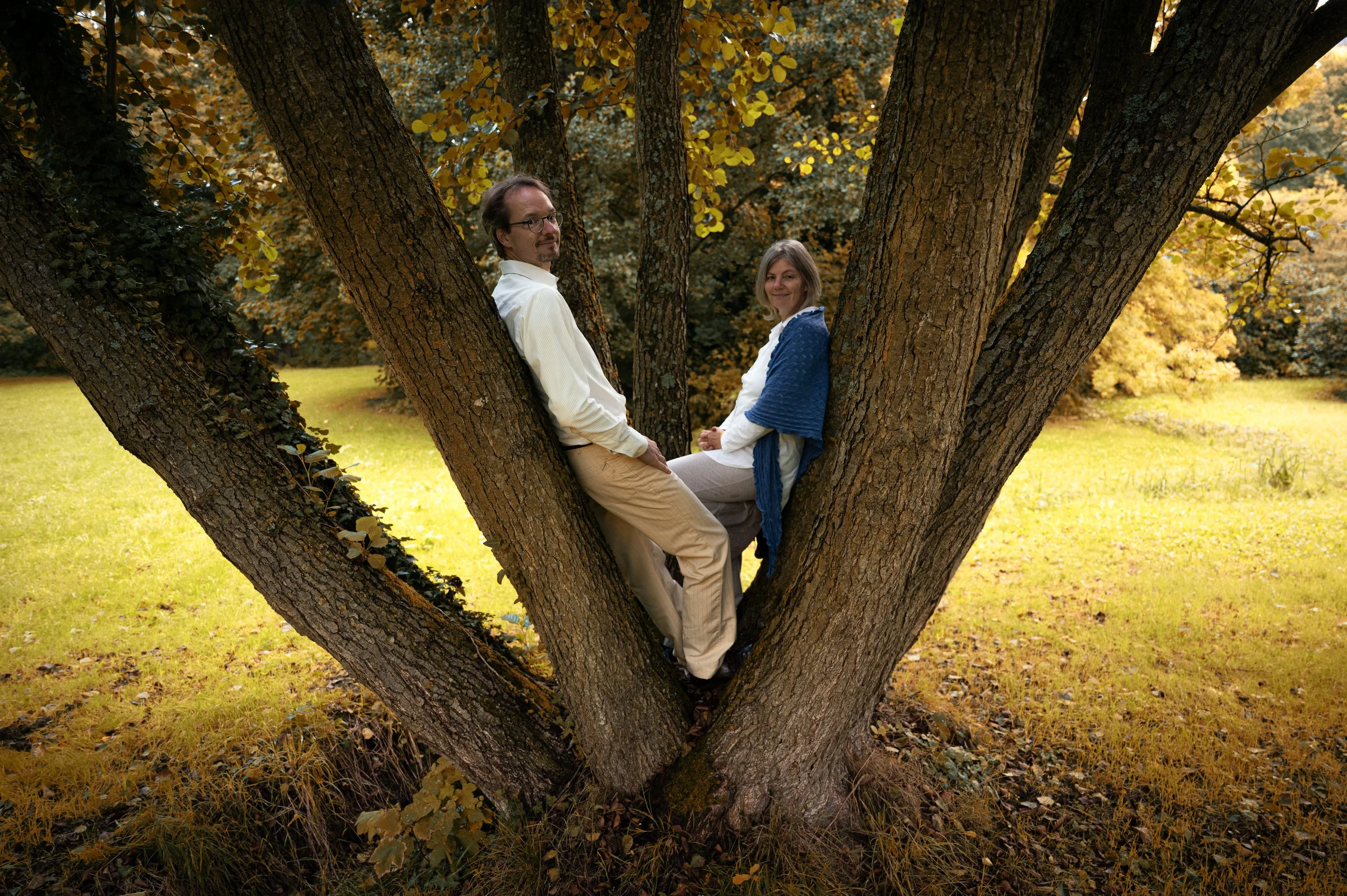 Ein Mann und eine Frau sitzen auf Ästen eines Baumes in einem Park im Herbst, umgeben von gelbem Laub.