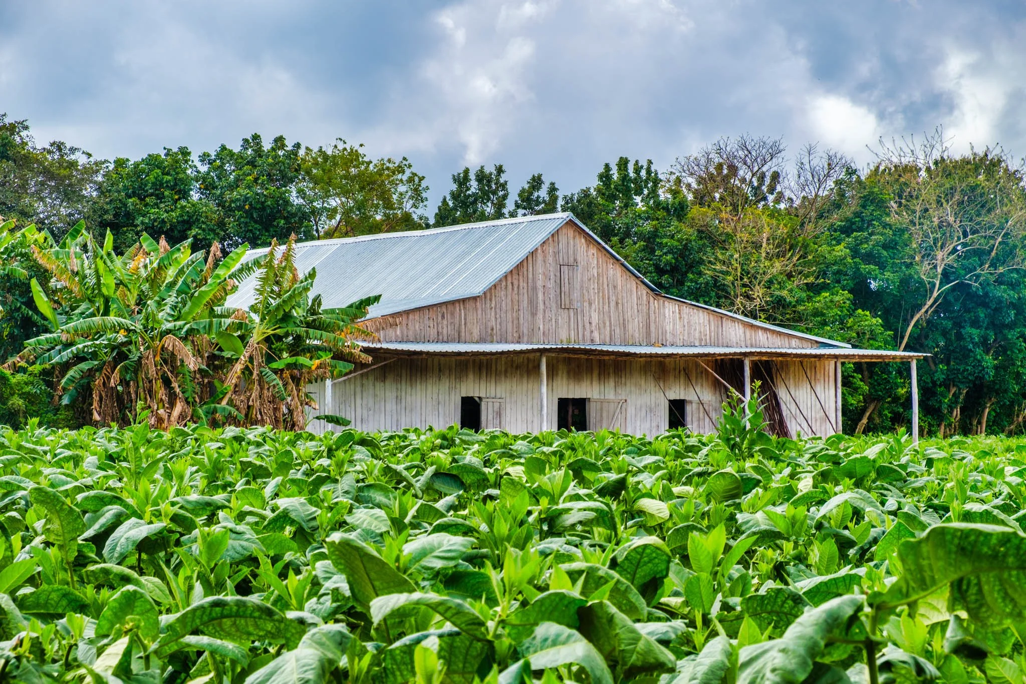 180211_Cuba-Day4_23- Edit.jpg