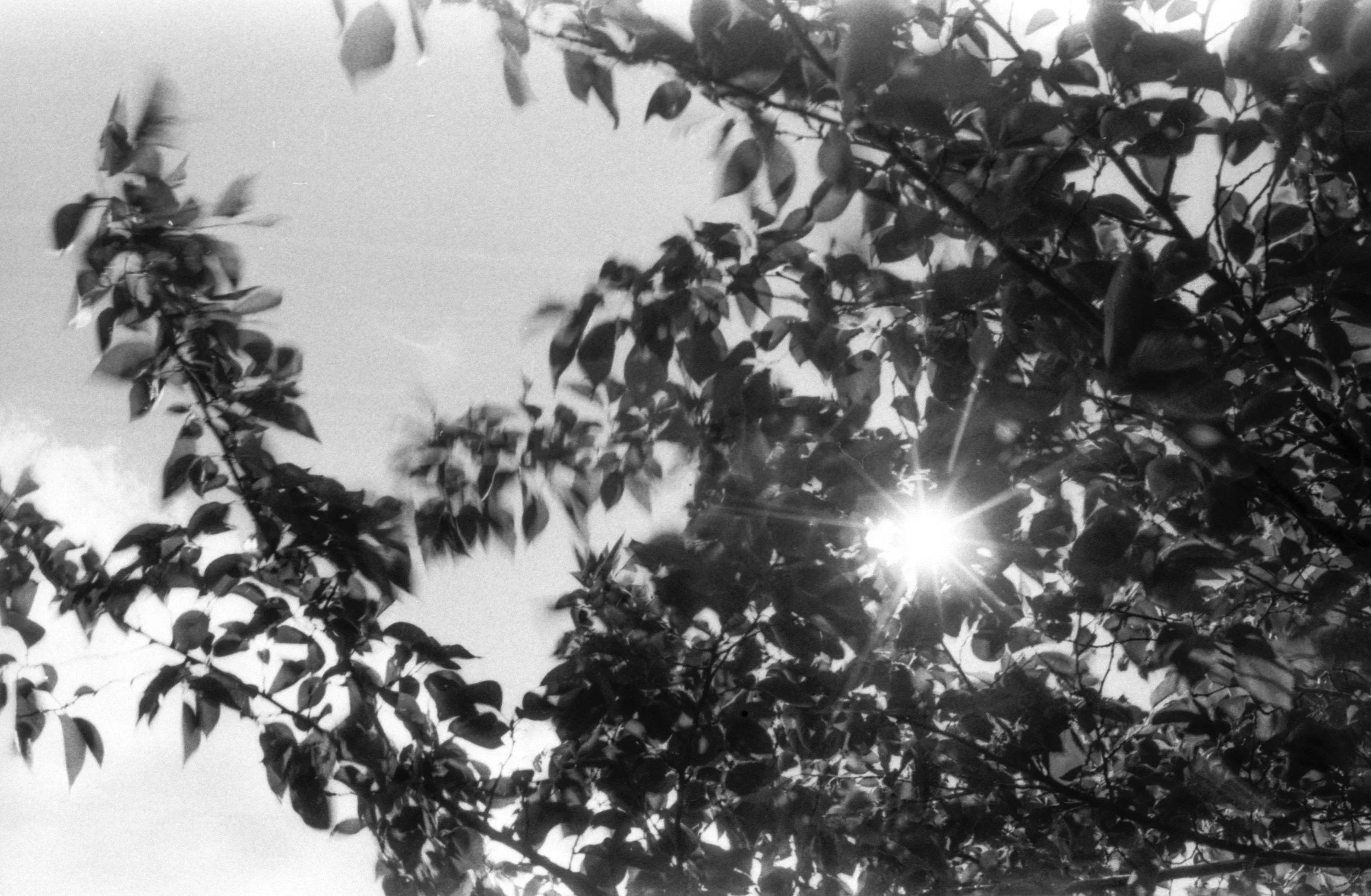 The Light Between 3/3, 2026