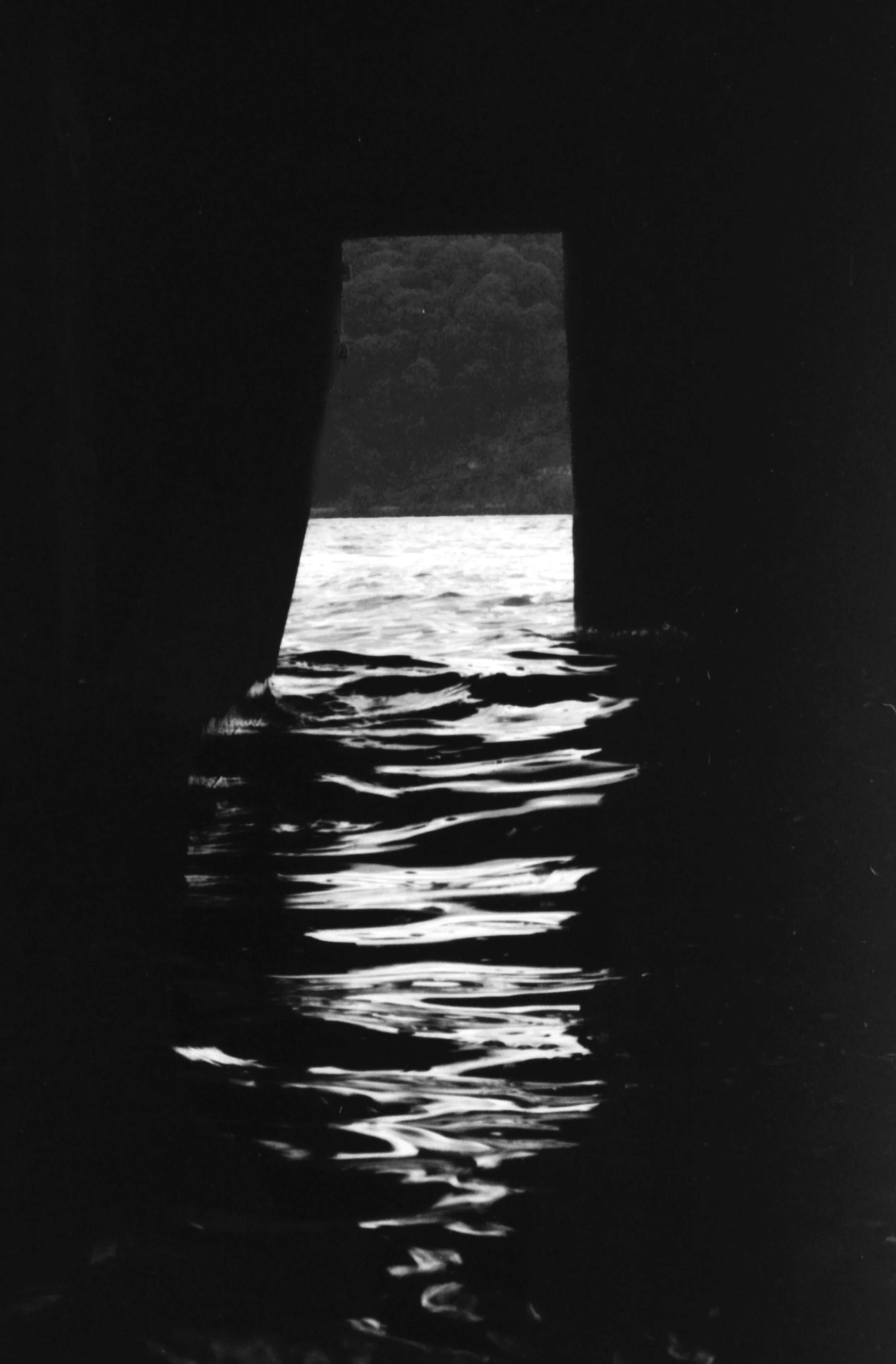 The Light Between 1/3, 2026