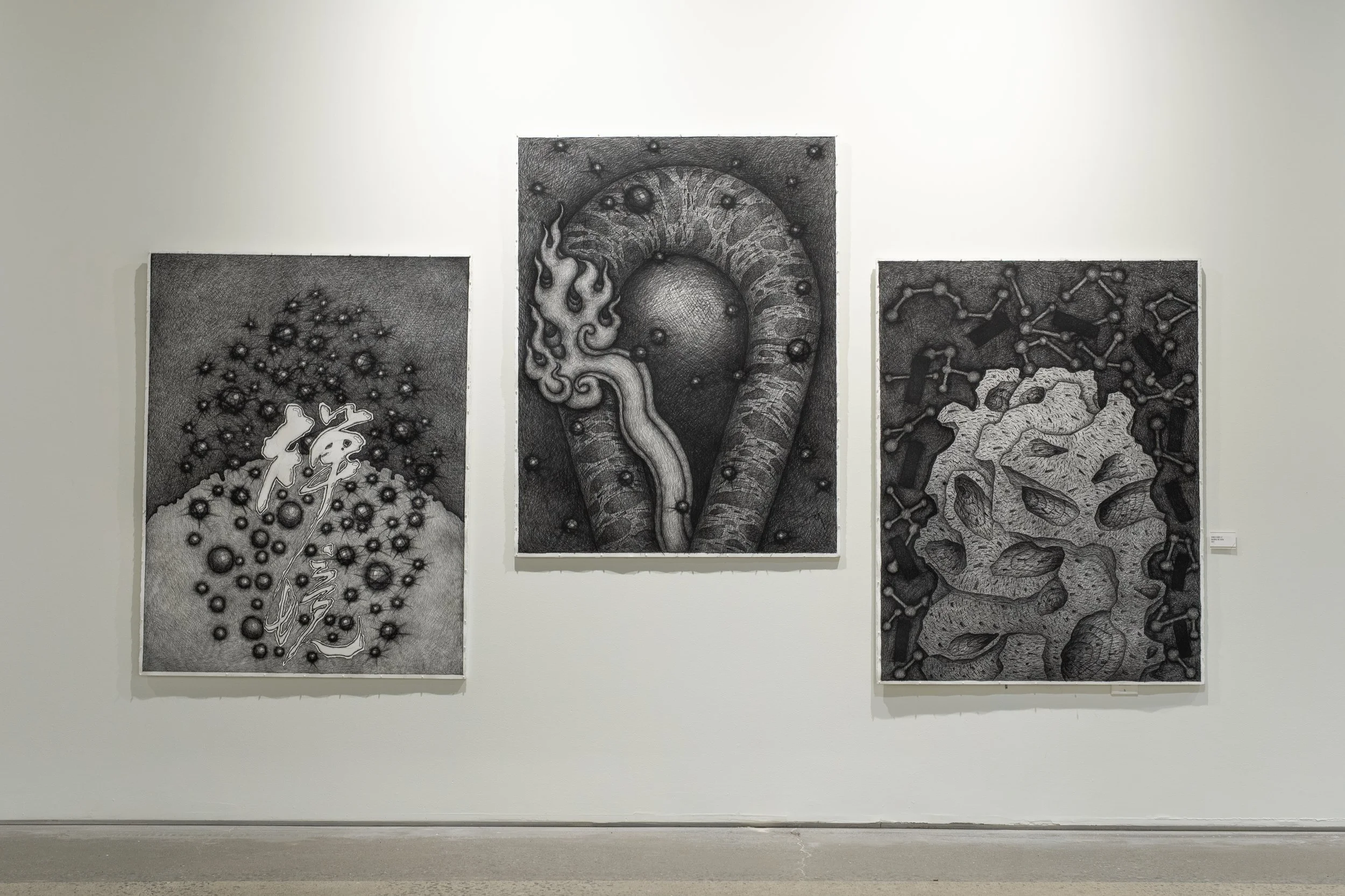 Xuewu Zheng Gallery ©BensonDelaneyPhotography-24.jpg