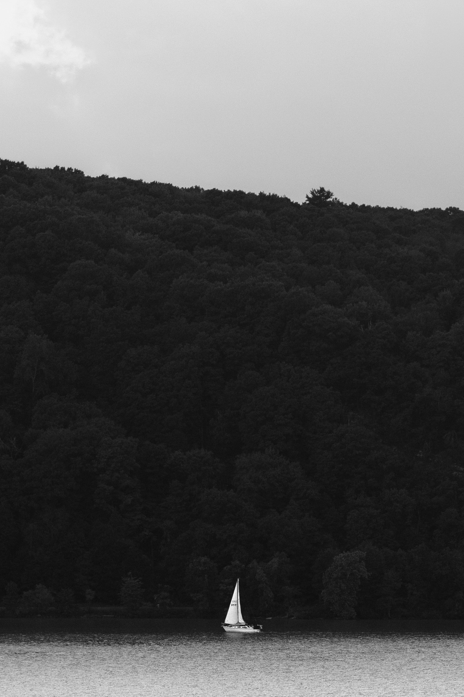 4 2026_08_8 Hudson River.jpg