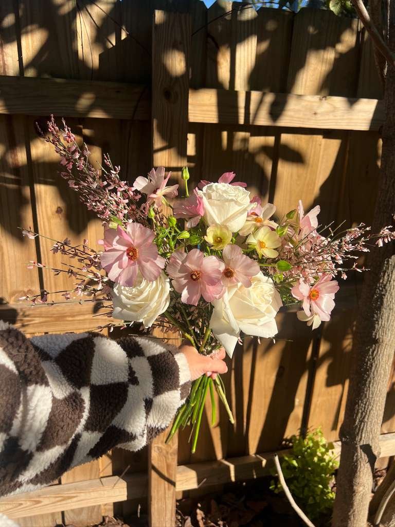 WhatsApp Image 2026-02-04 at 2.57.25 PM.jpeg