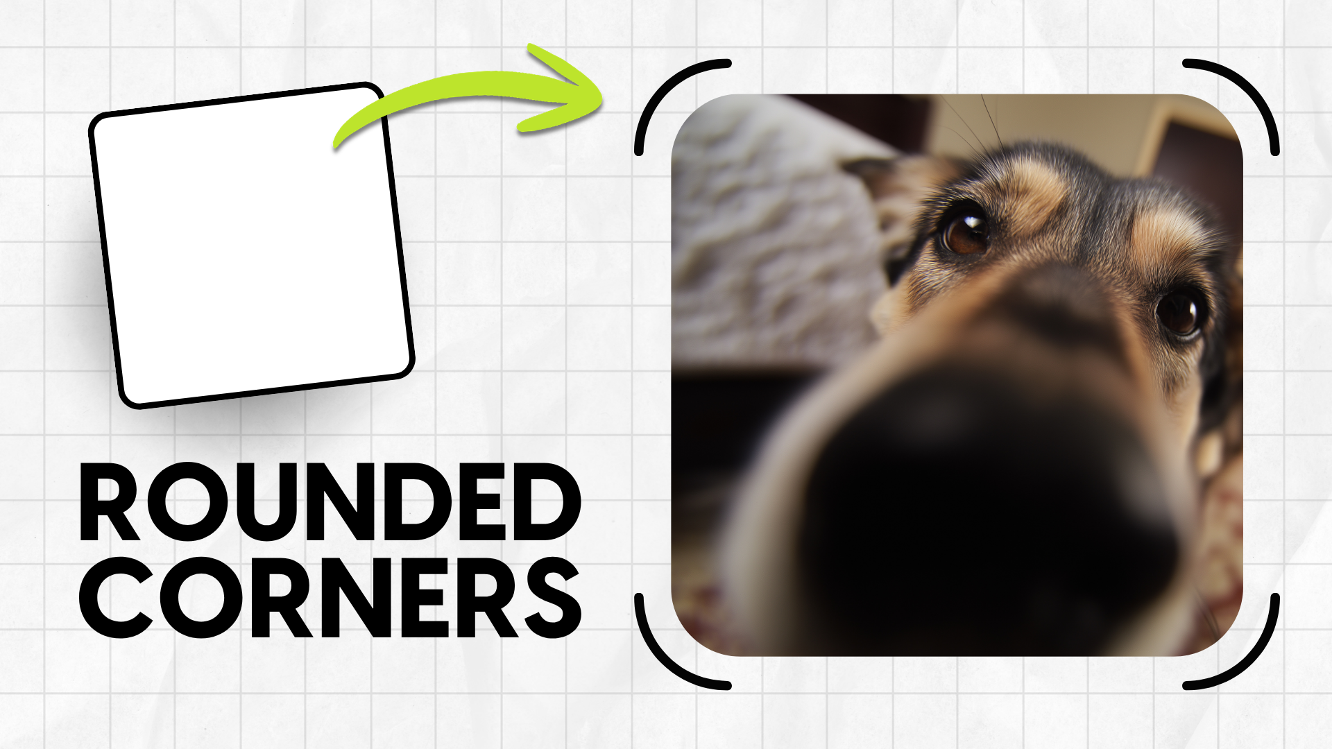 Website Builder Thumbnails (23).png