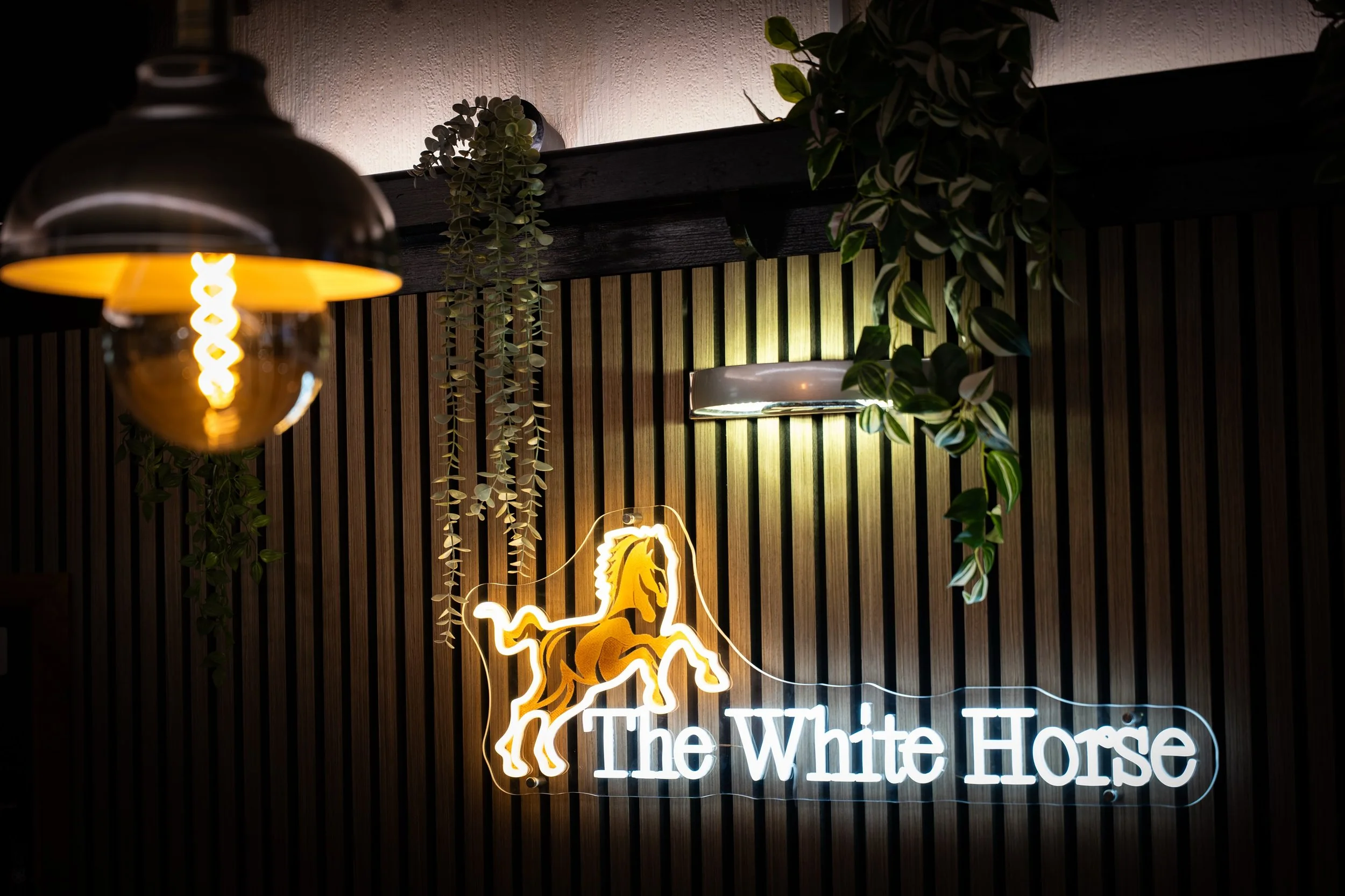Some recent food work for the white horse! 😋

📍Builth Wells