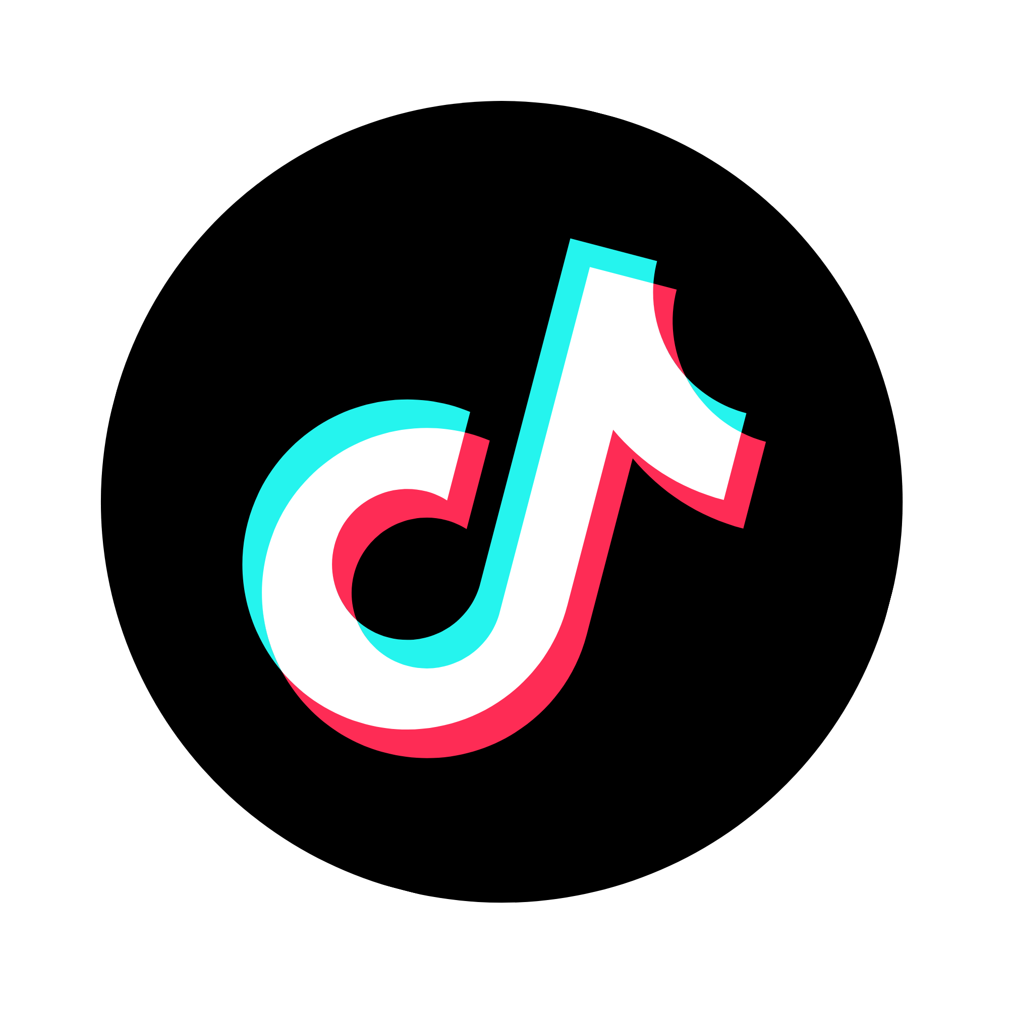 Tik Tok Logo